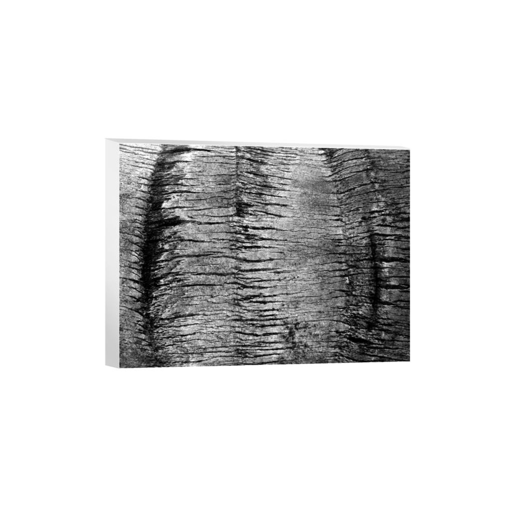 canvas_rectangle3_4_0_1_12560_9420_0_false_ffffff_0_0.png