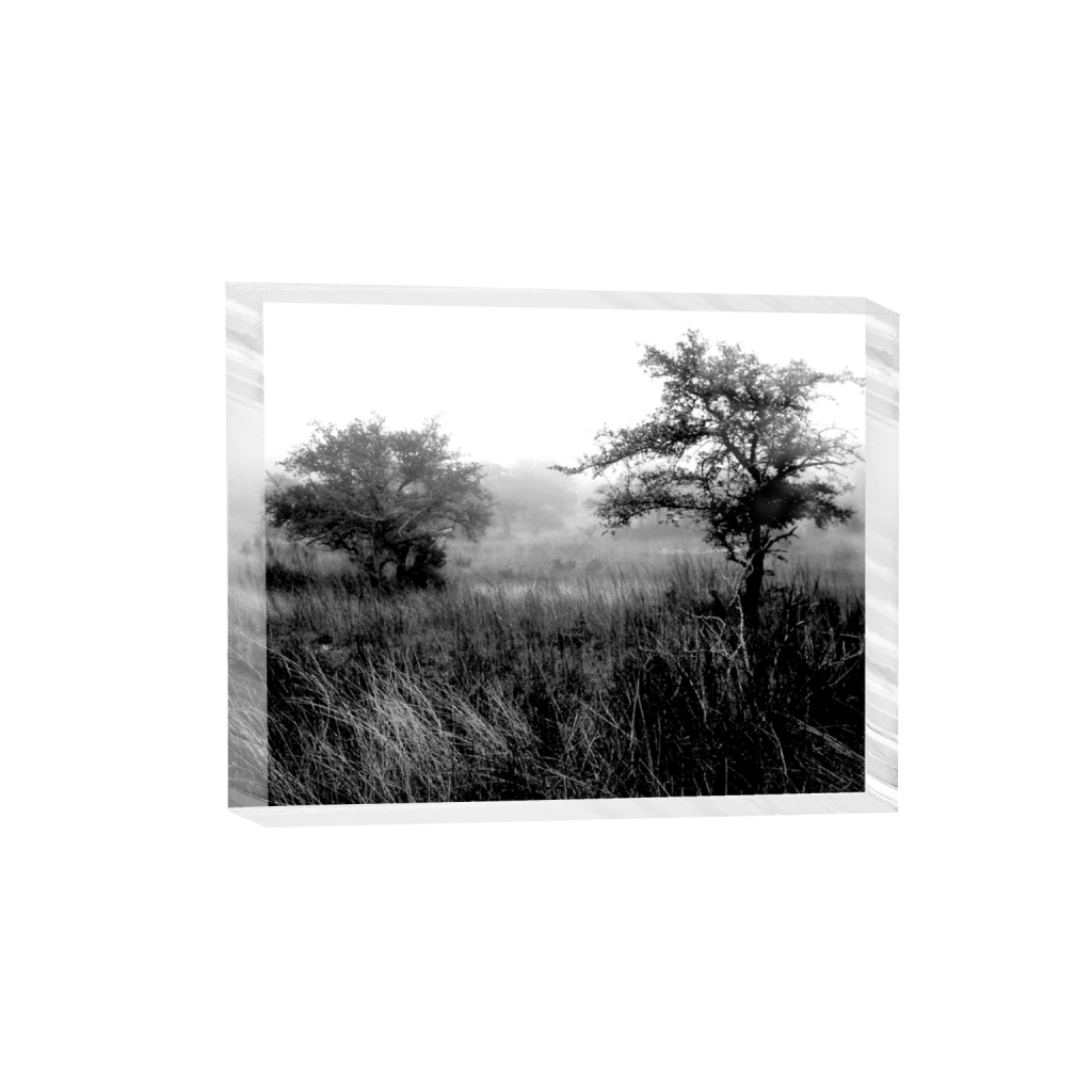 acrylicdesktopprint_rectangle4_5_103_0_3093_2475_0_false_ffffff_0_0.png