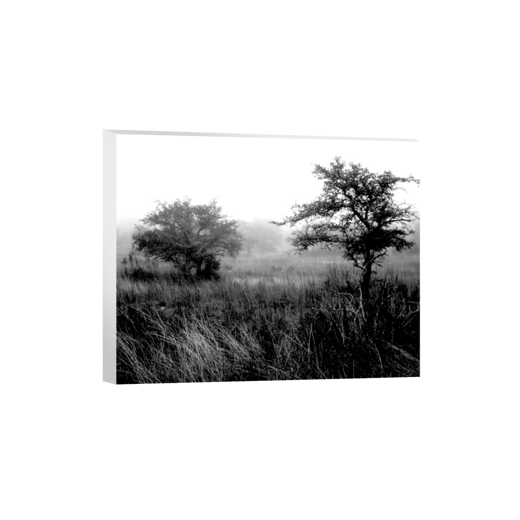 canvas_rectangle4_5_103_0_3093_2475_0_false_ffffff_0_0.png