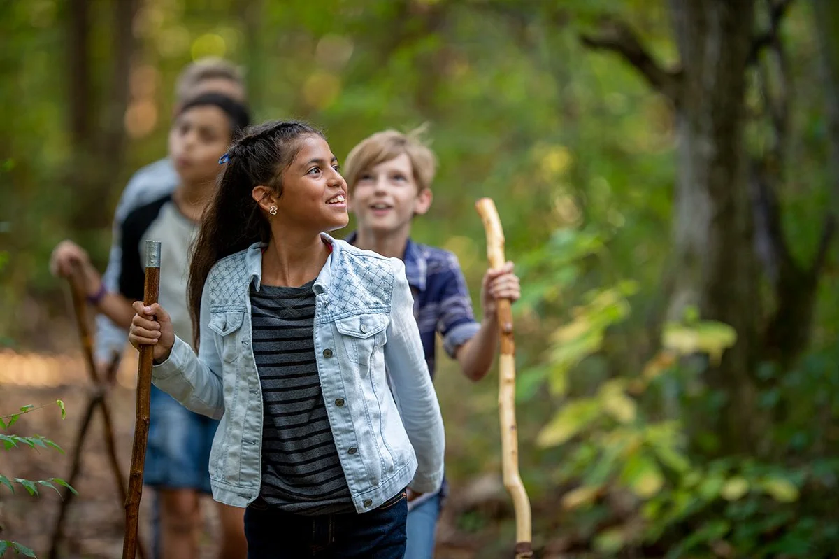 Diverse group of friends exploring in the forest.