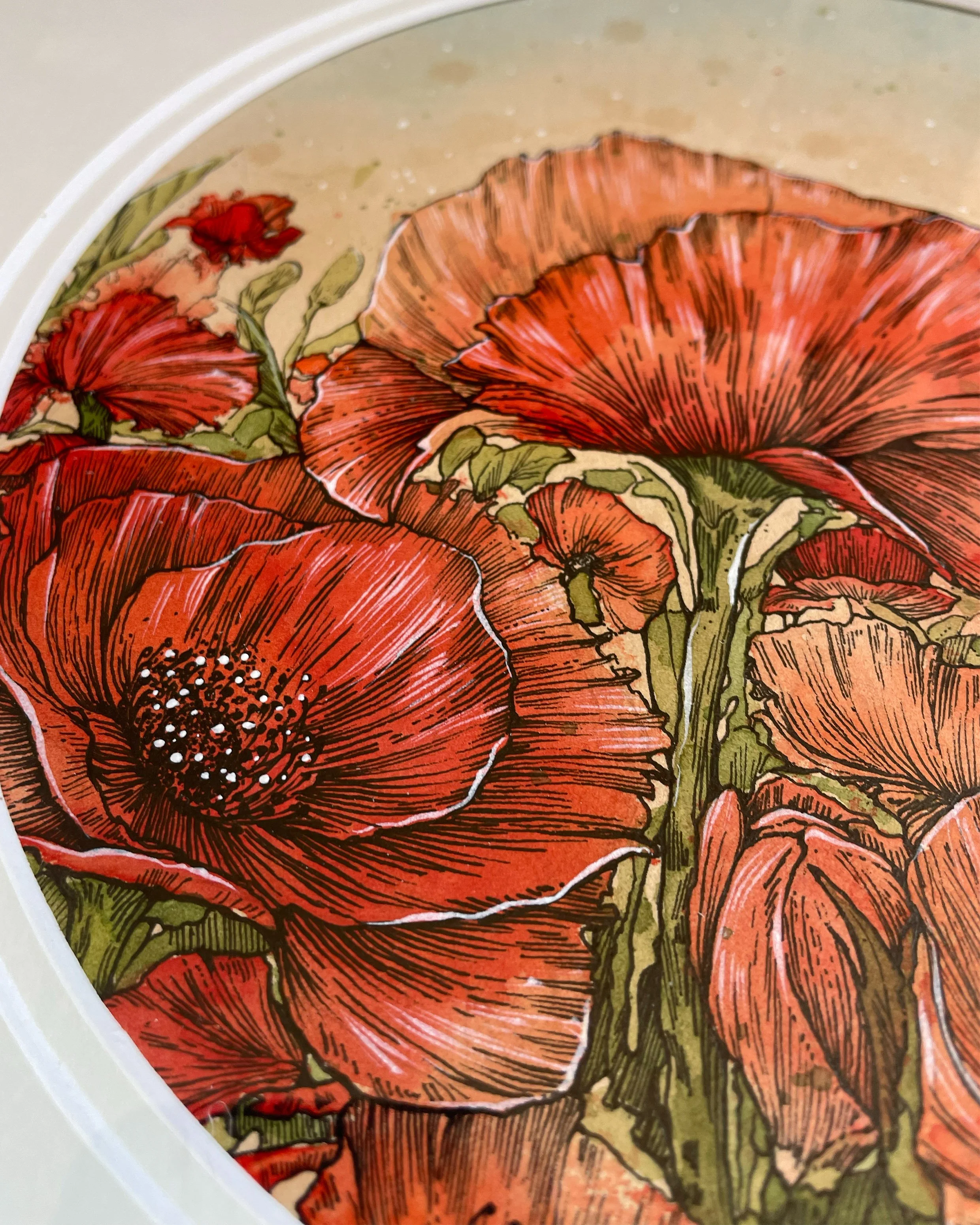 Poppies 002.jpg