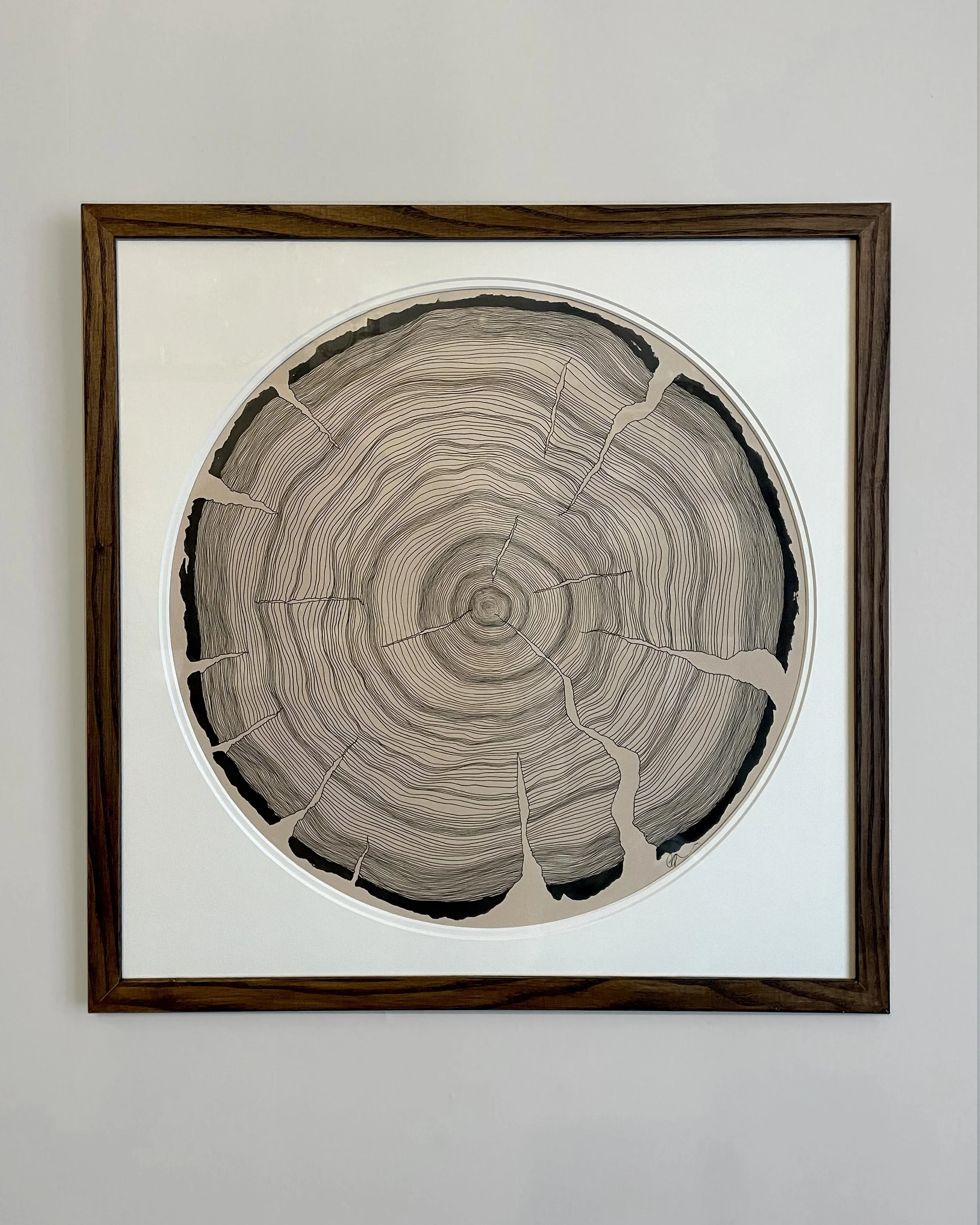 Tree Rings 2_2026.jpg