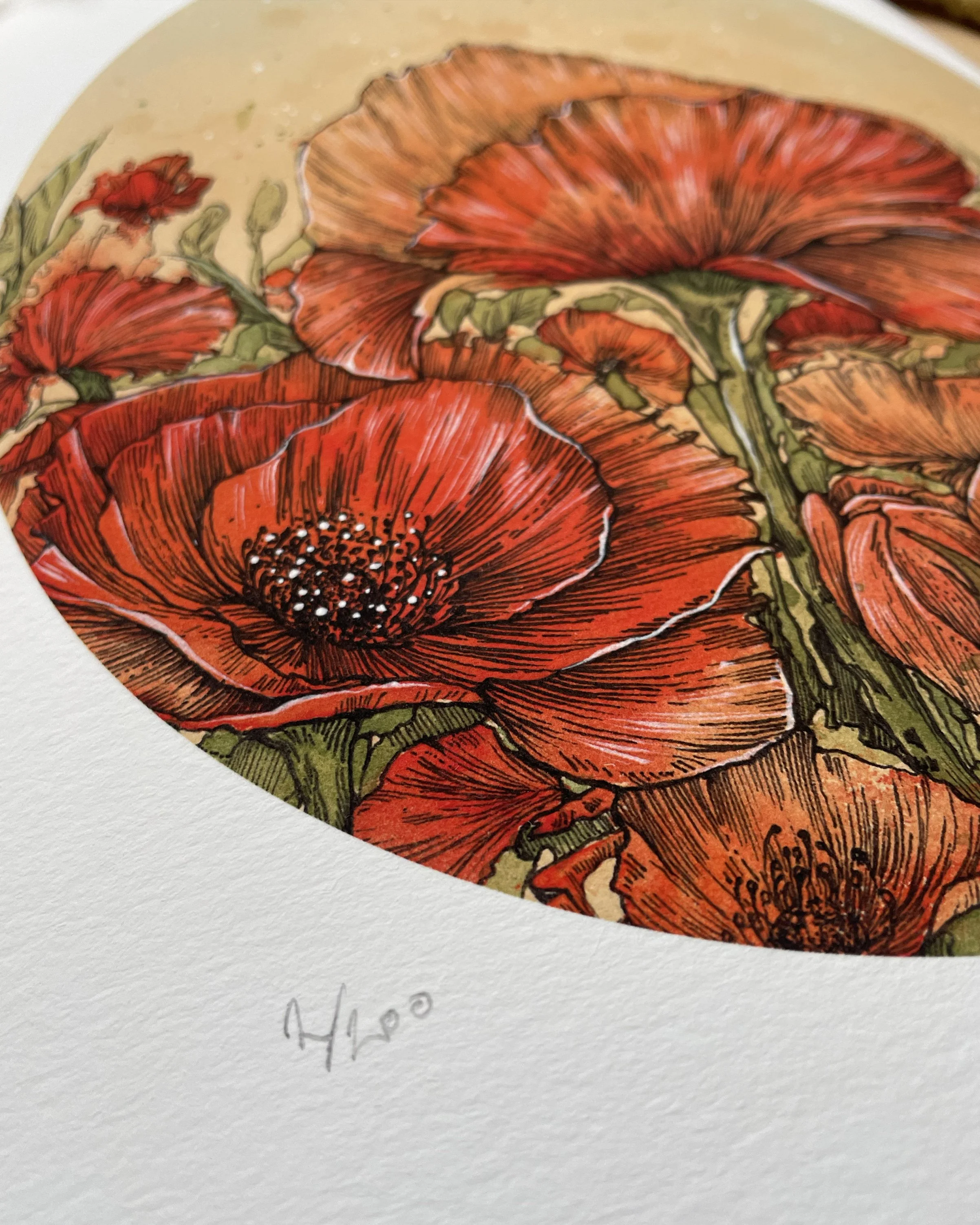 Poppies 006.jpg