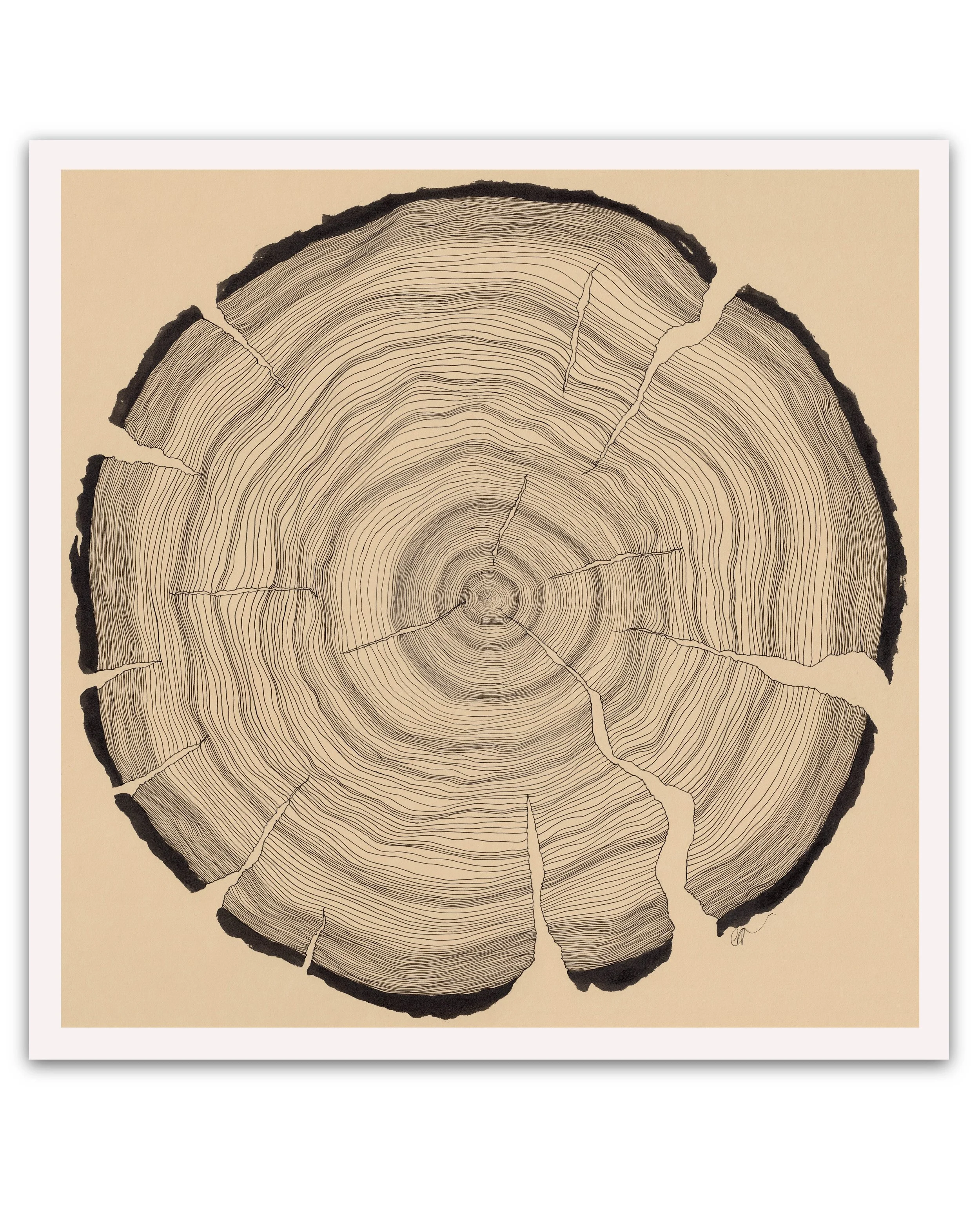 rings copy print web.jpg