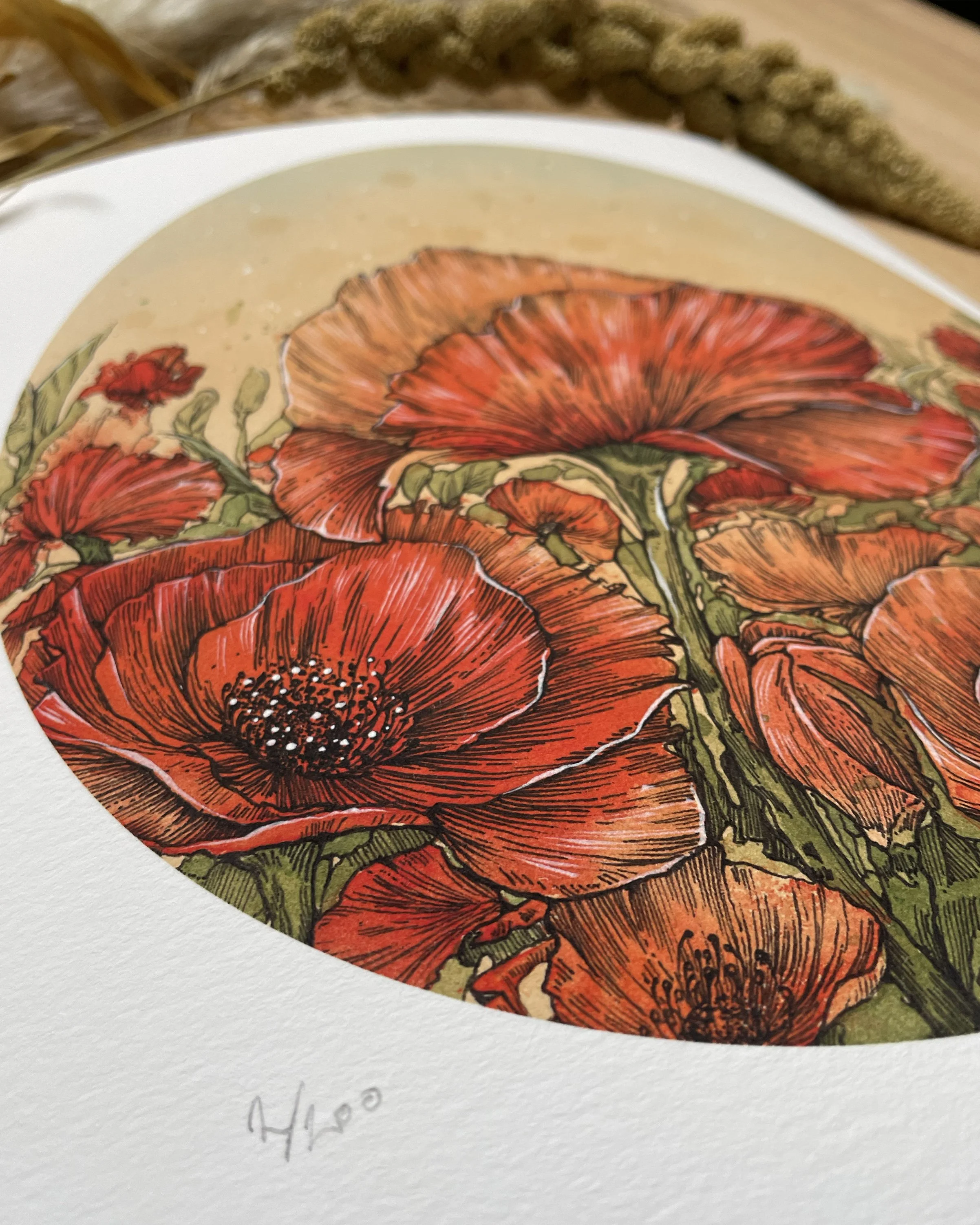 Poppies 007.jpg
