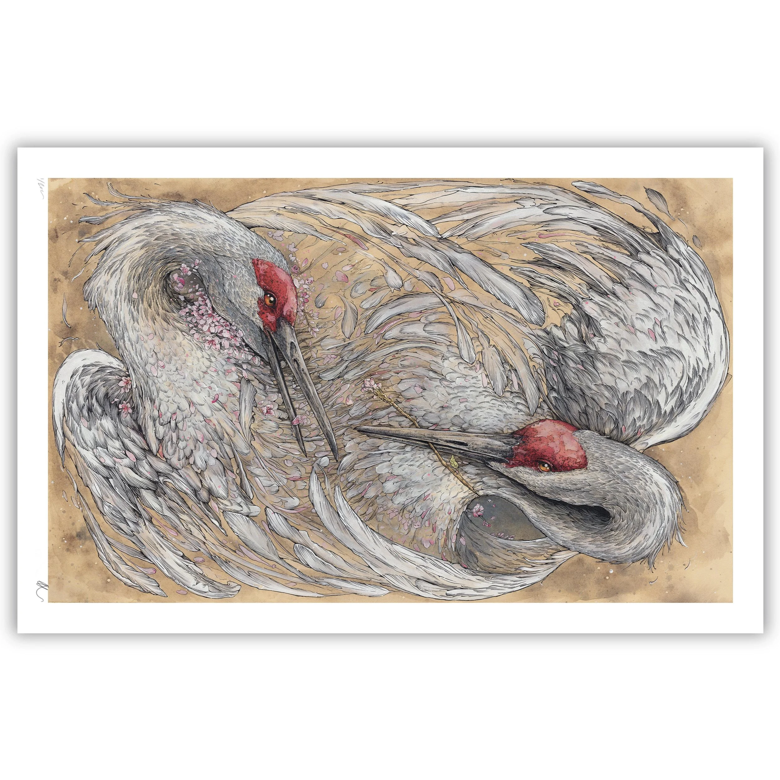 OFFERINGS print_web229102025.jpg