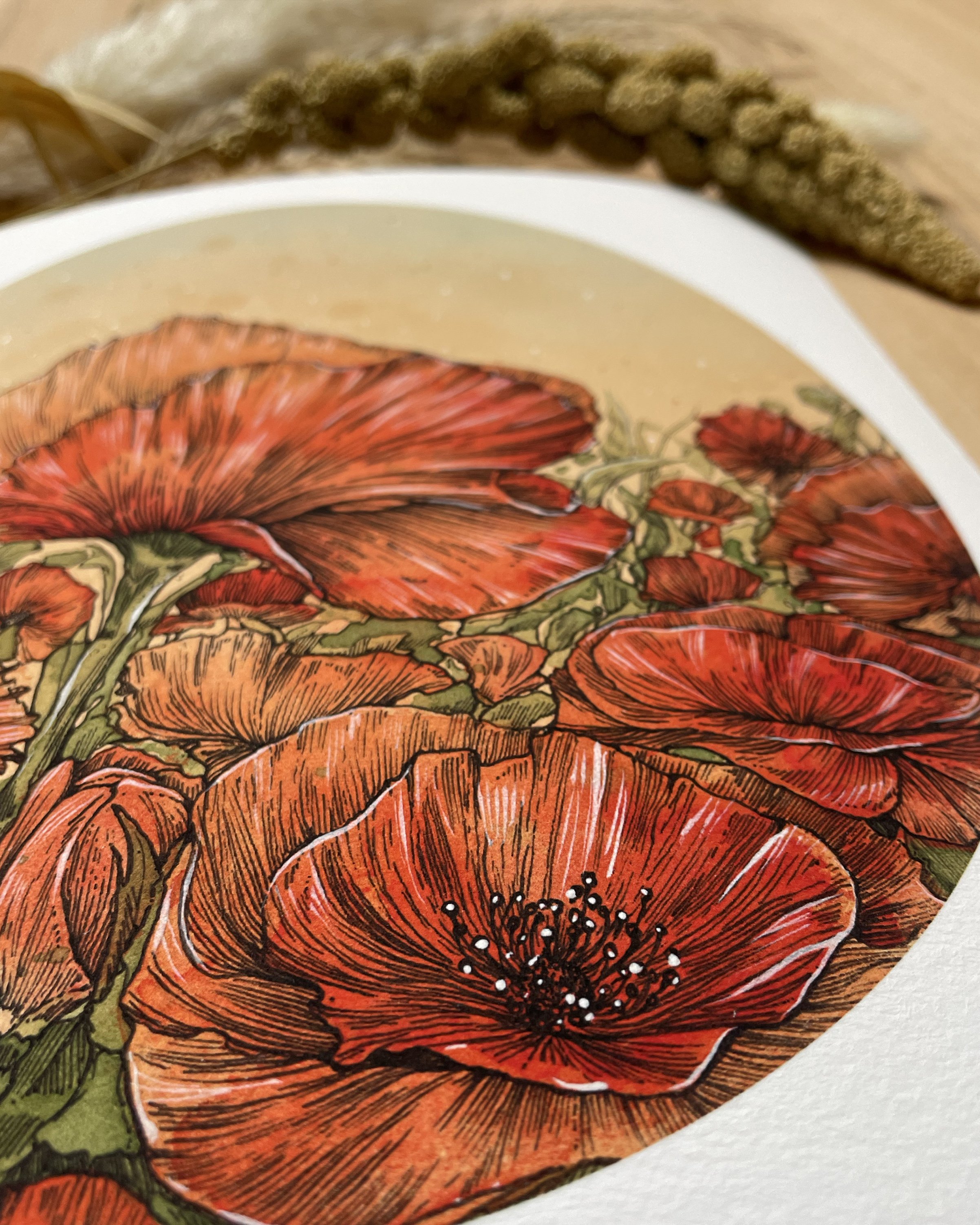 Poppies 010.jpg