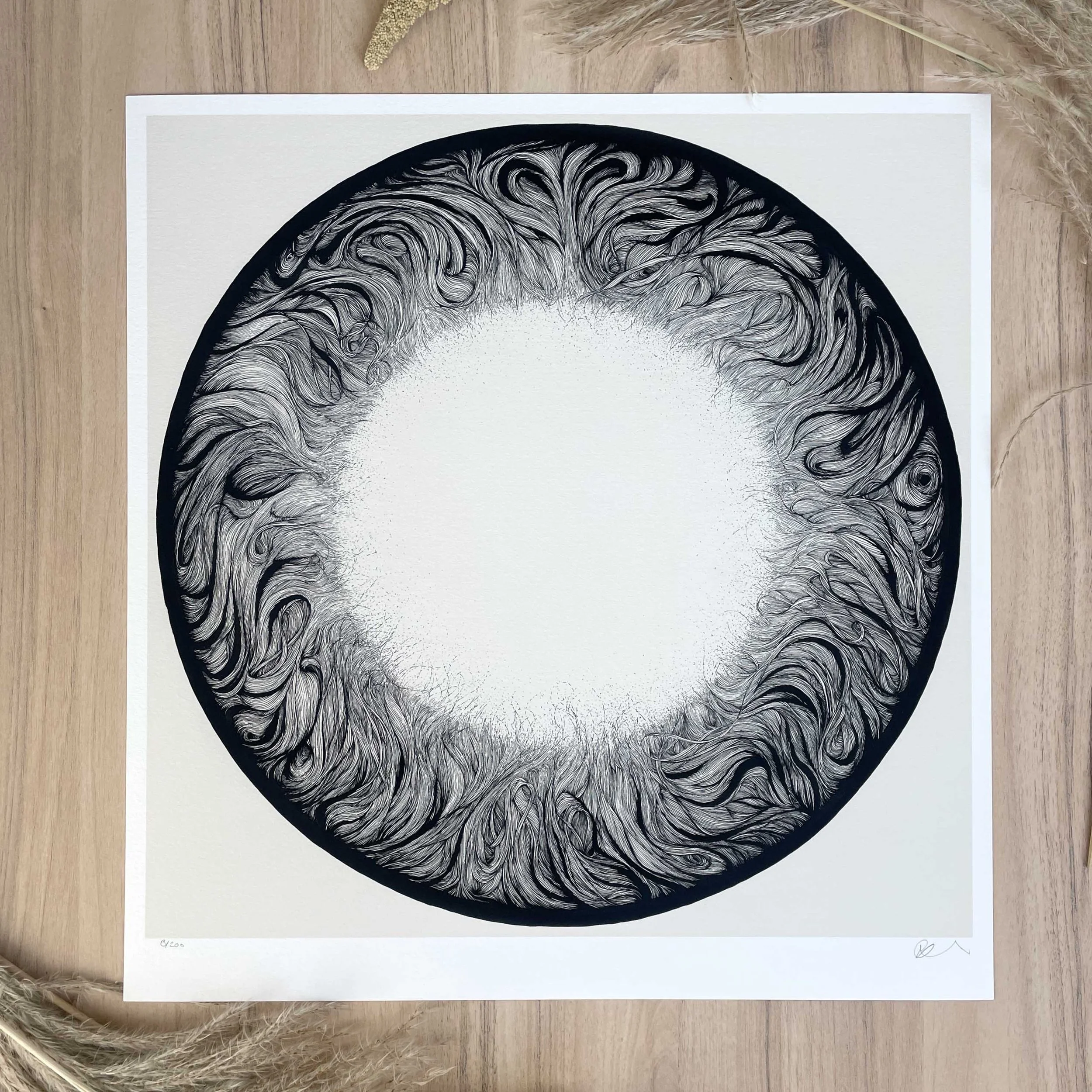 solaris print1.jpg