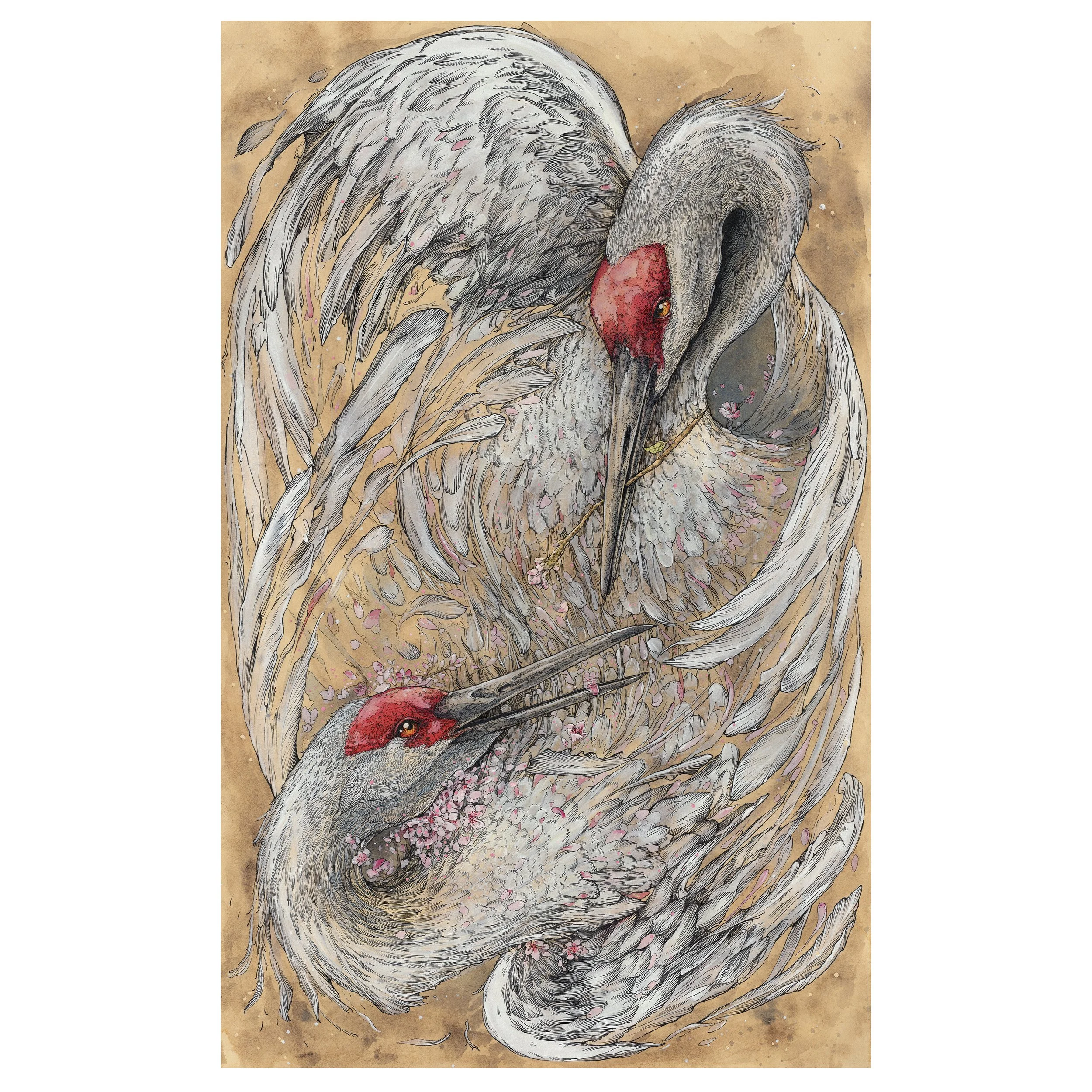 Offerings _artworkclean2026.jpg