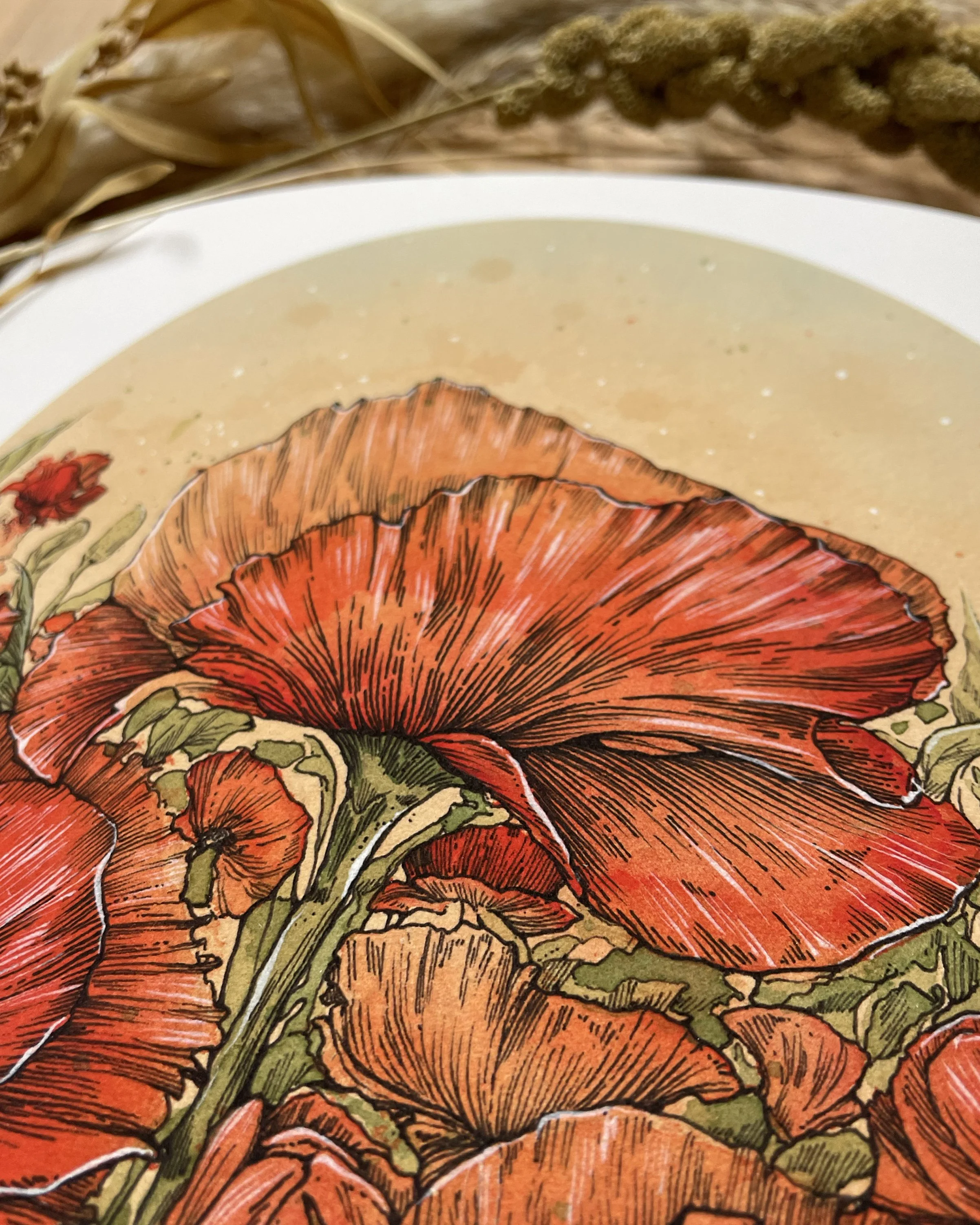 Poppies 009.jpg