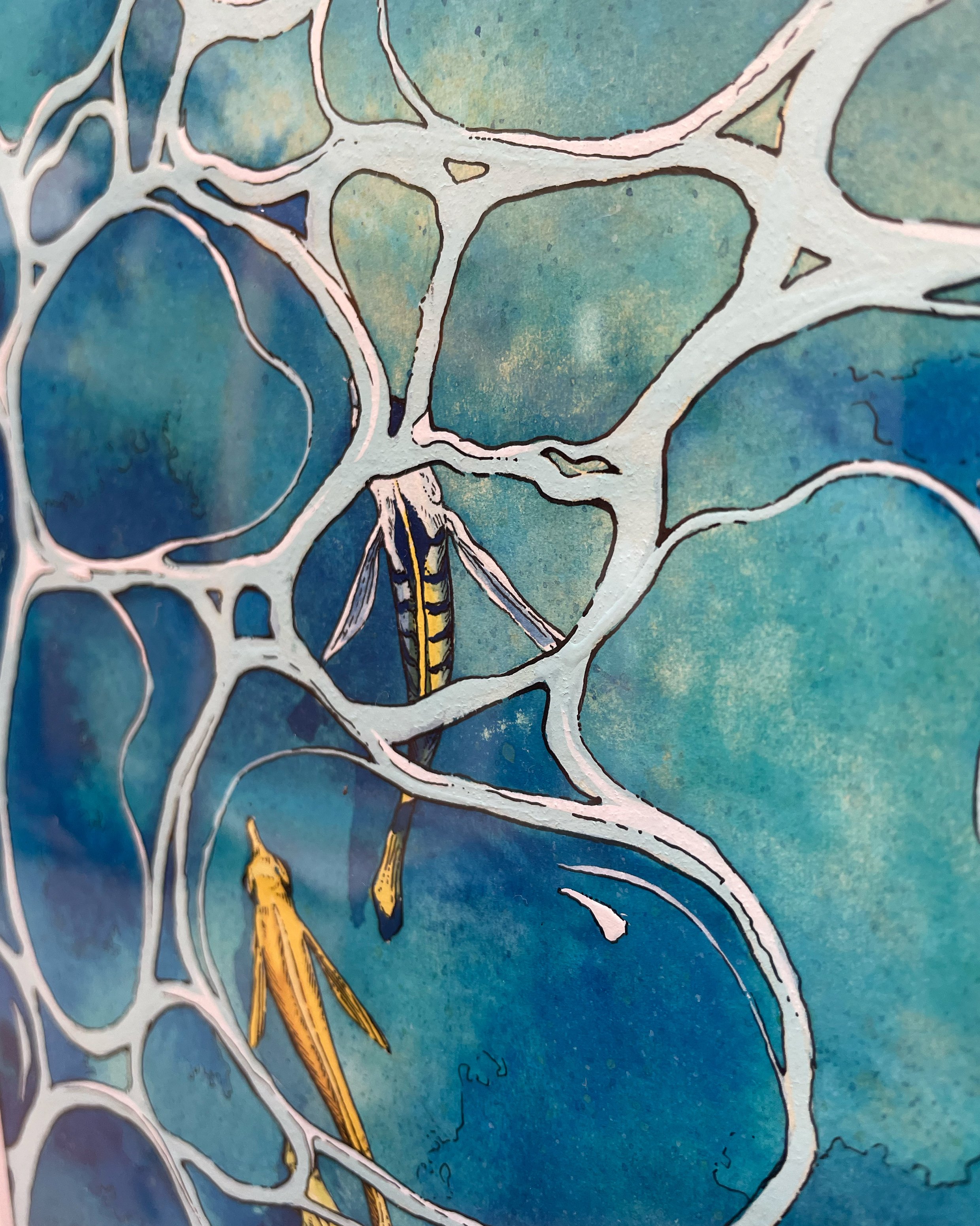 tahitian Blue_006.jpg