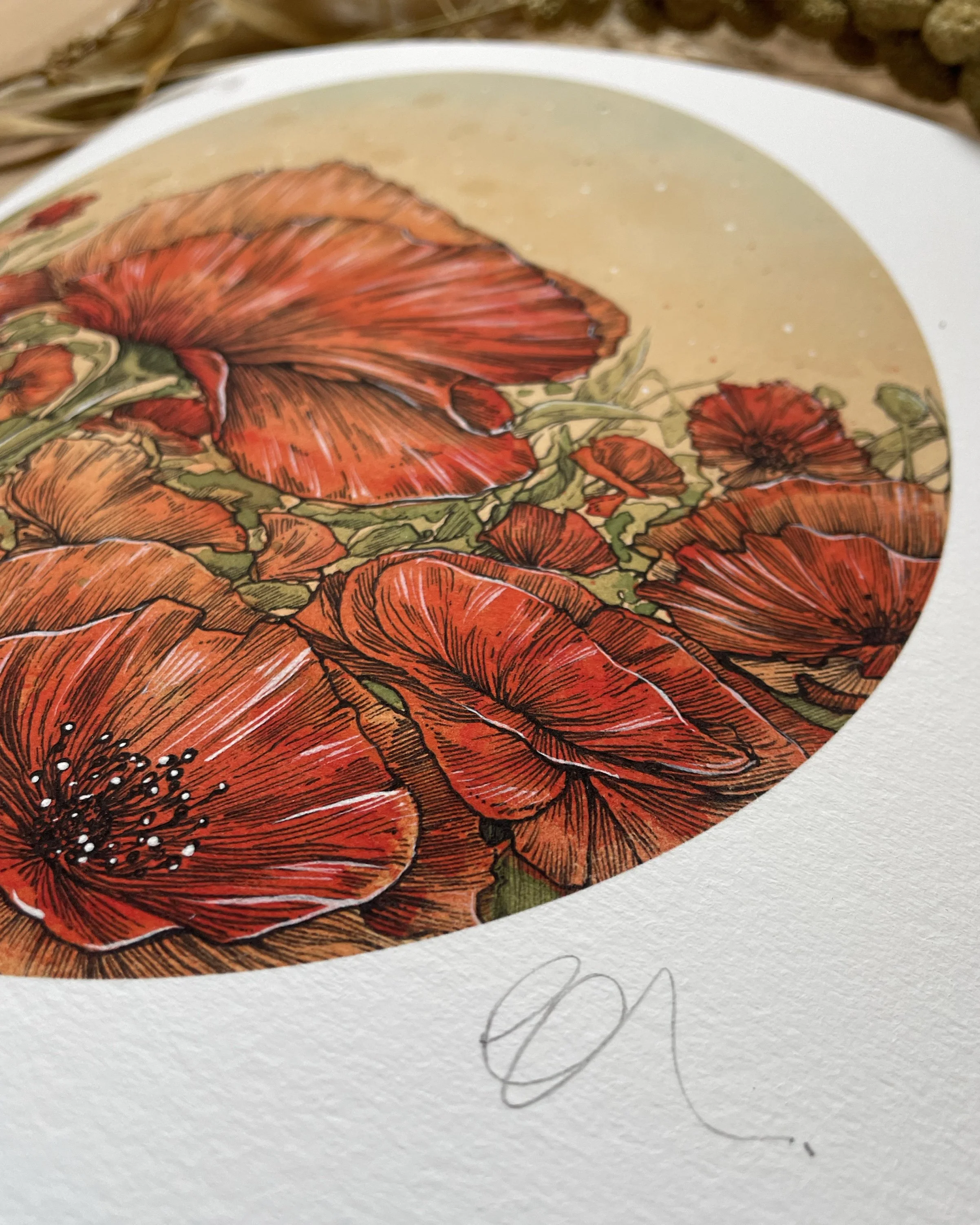 Poppies 008.jpg