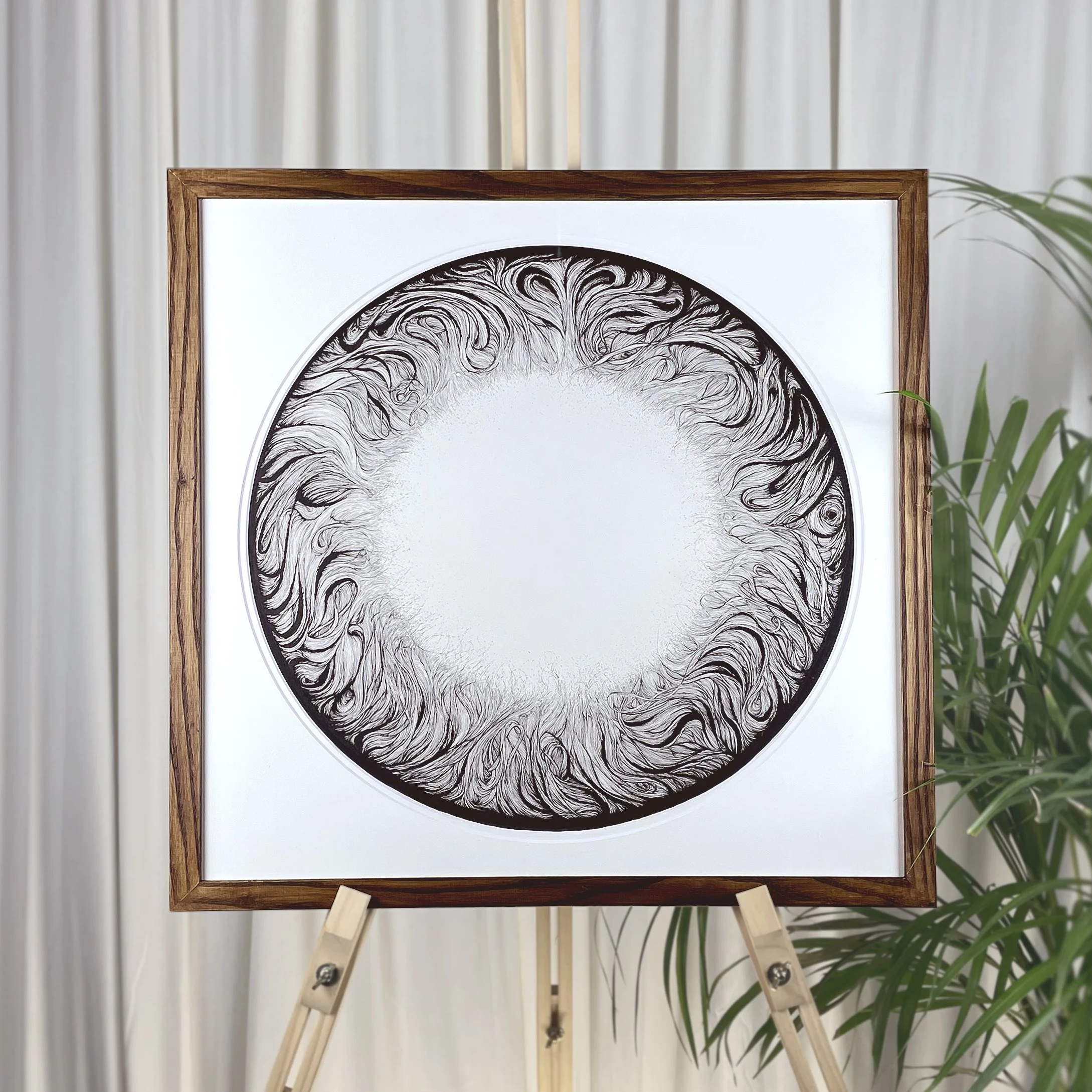 Solaris framed photography copysq.jpg
