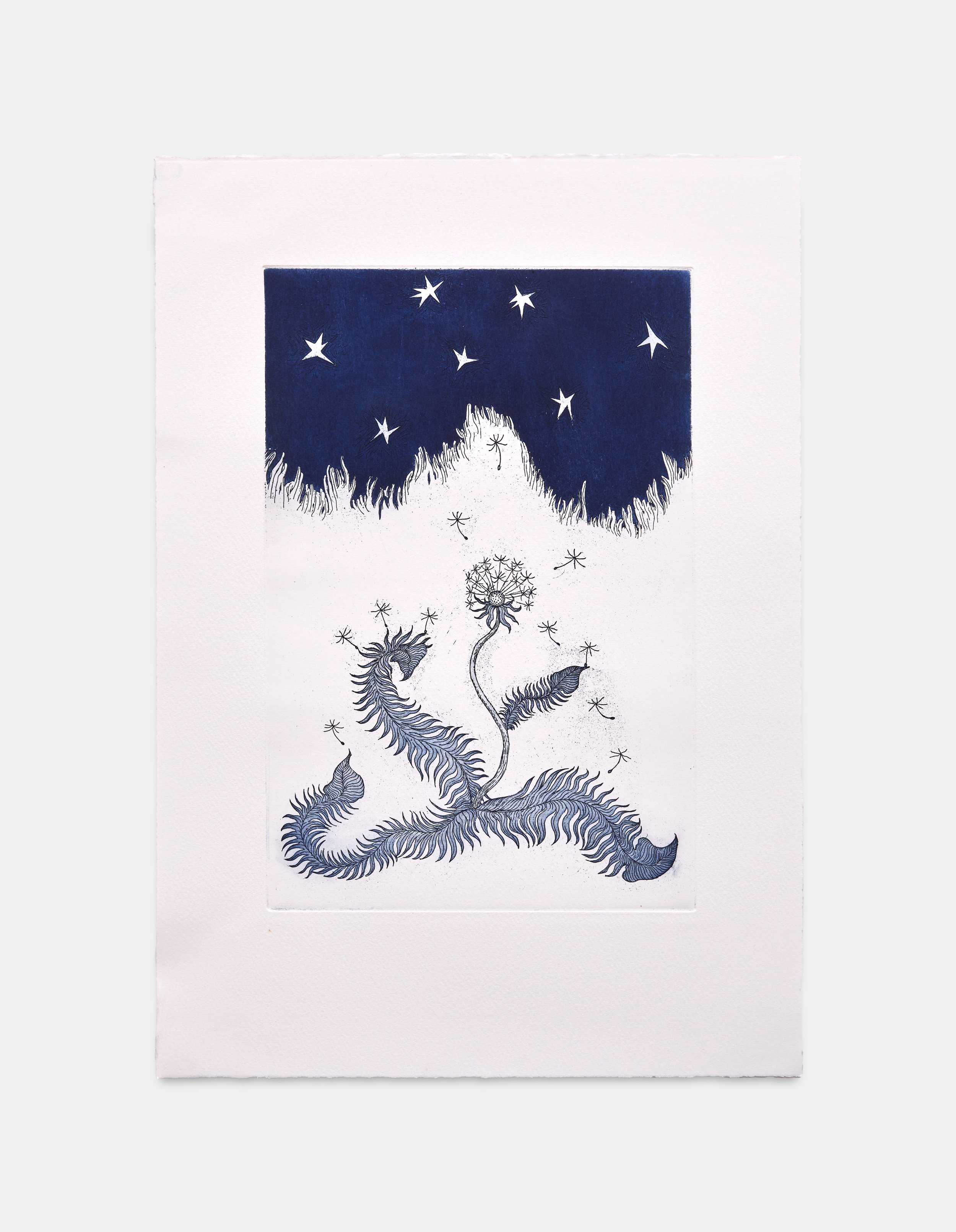 Soho Revue - Prints - 012.jpg