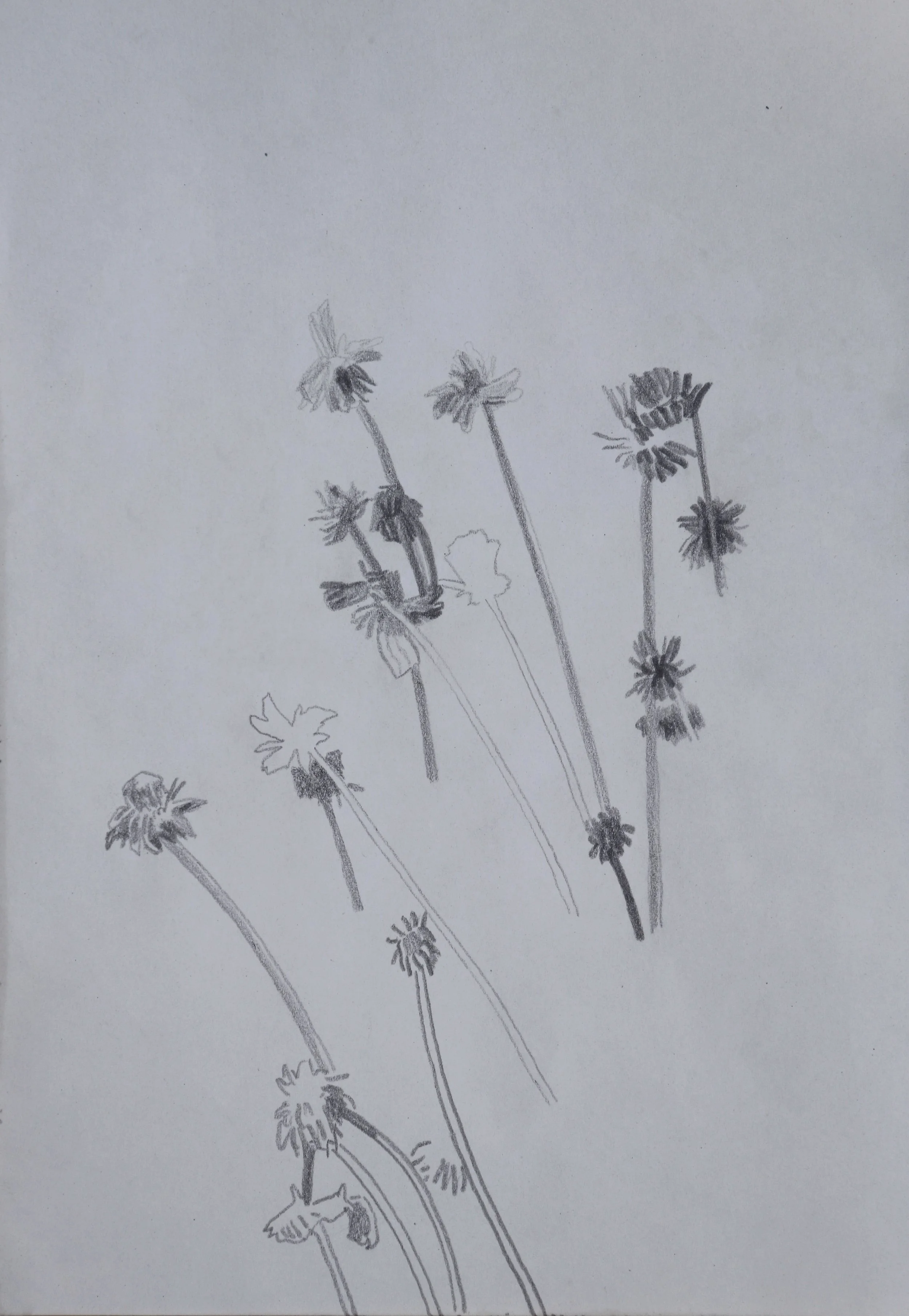 Untitled, 2023,
graphite on paper, 21x15 cm