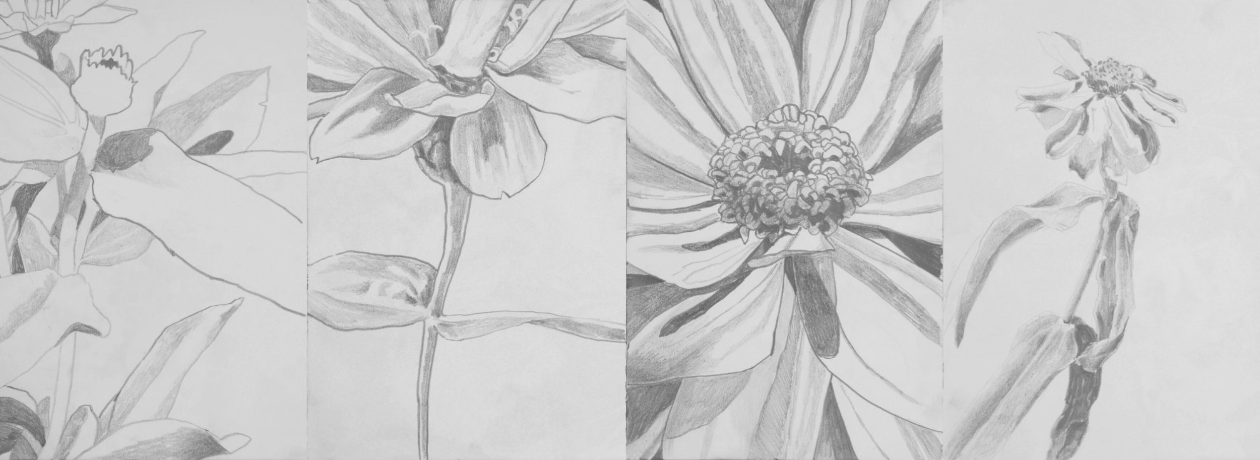 Untitled, 2023,
graphite on paper, polyptych, 21x60 cm