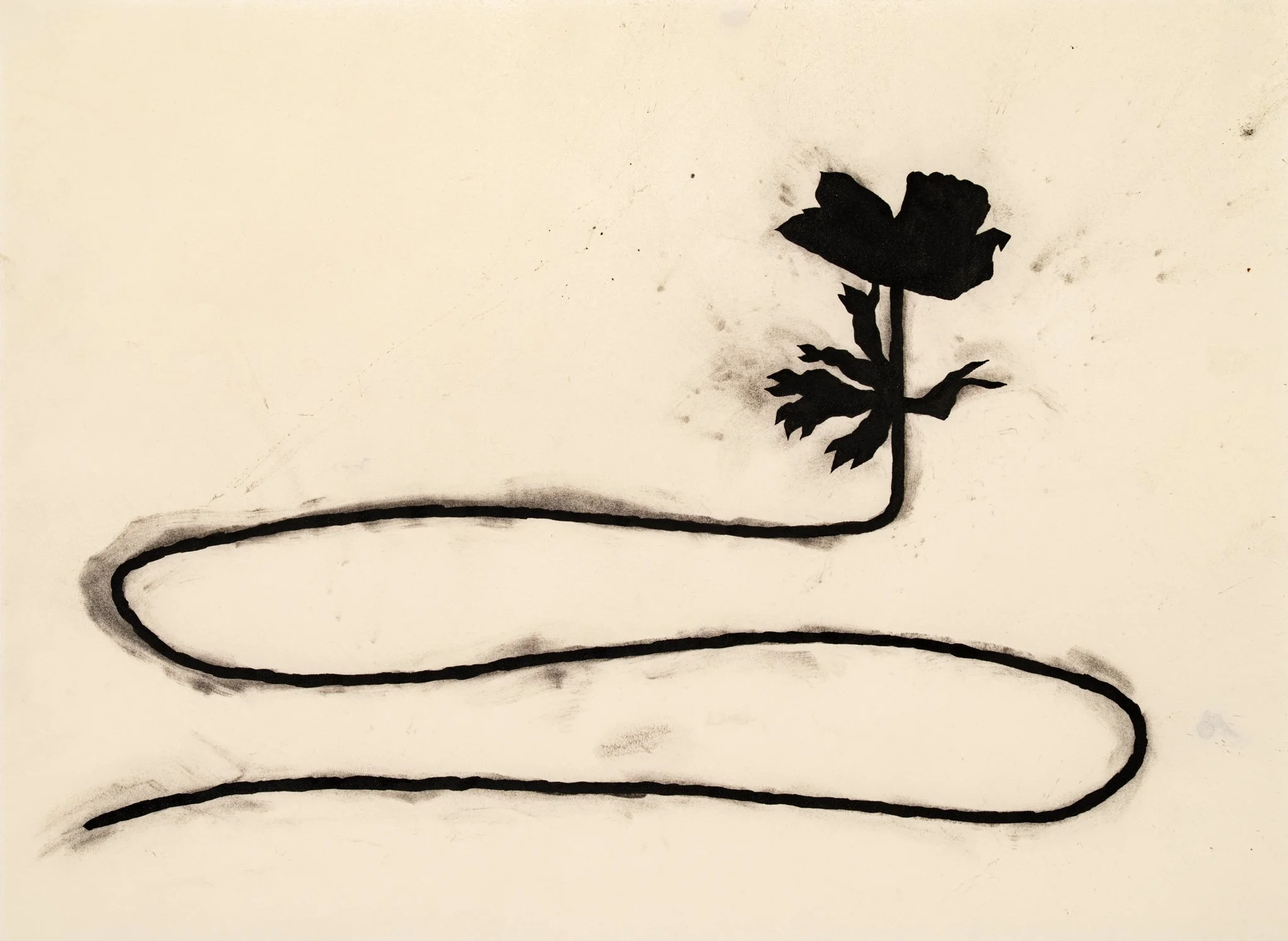 "Snakeflower", 2025,
ink and charcoal on paper, 30x42 cm