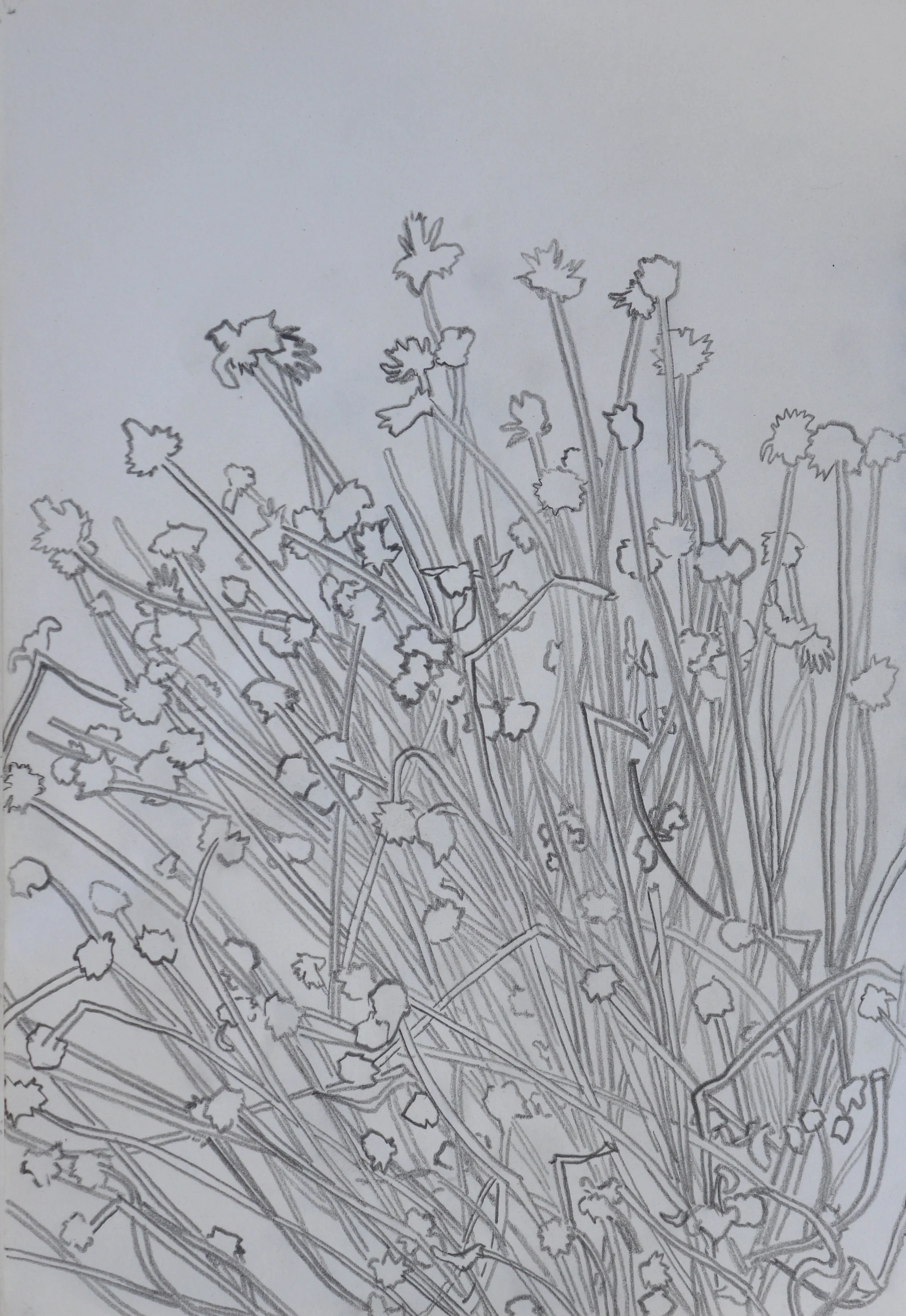 Untitled, 2023,
graphite on paper, 21x15 cm