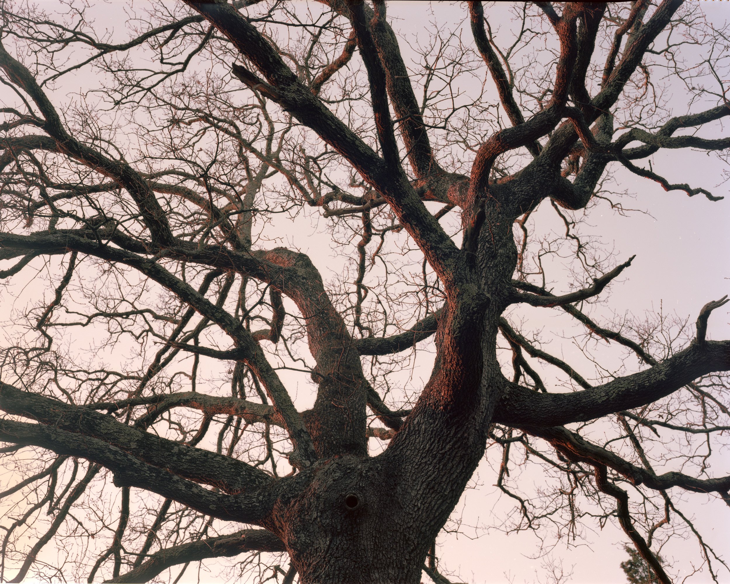 09.jpg