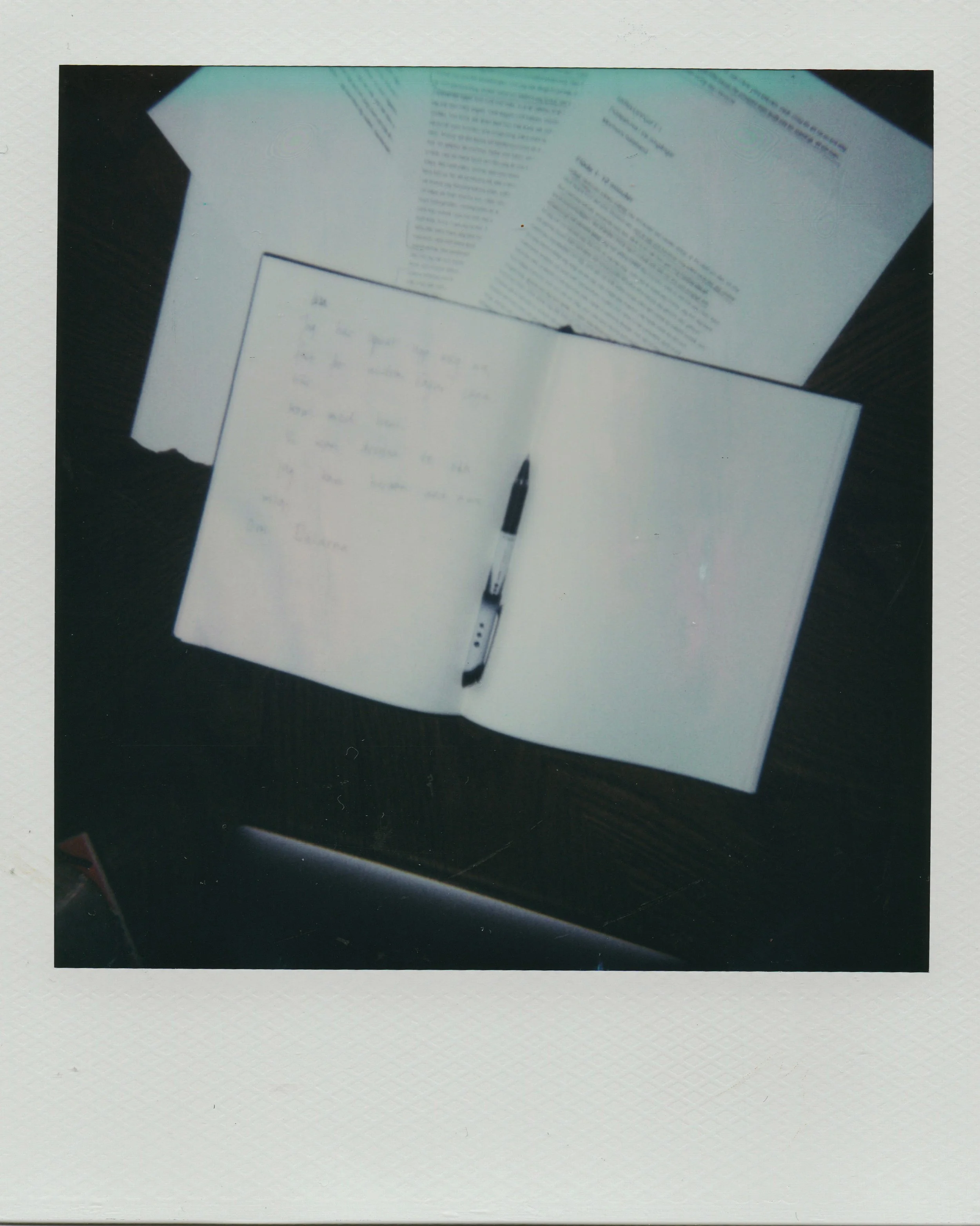 polaroid-bok.jpg