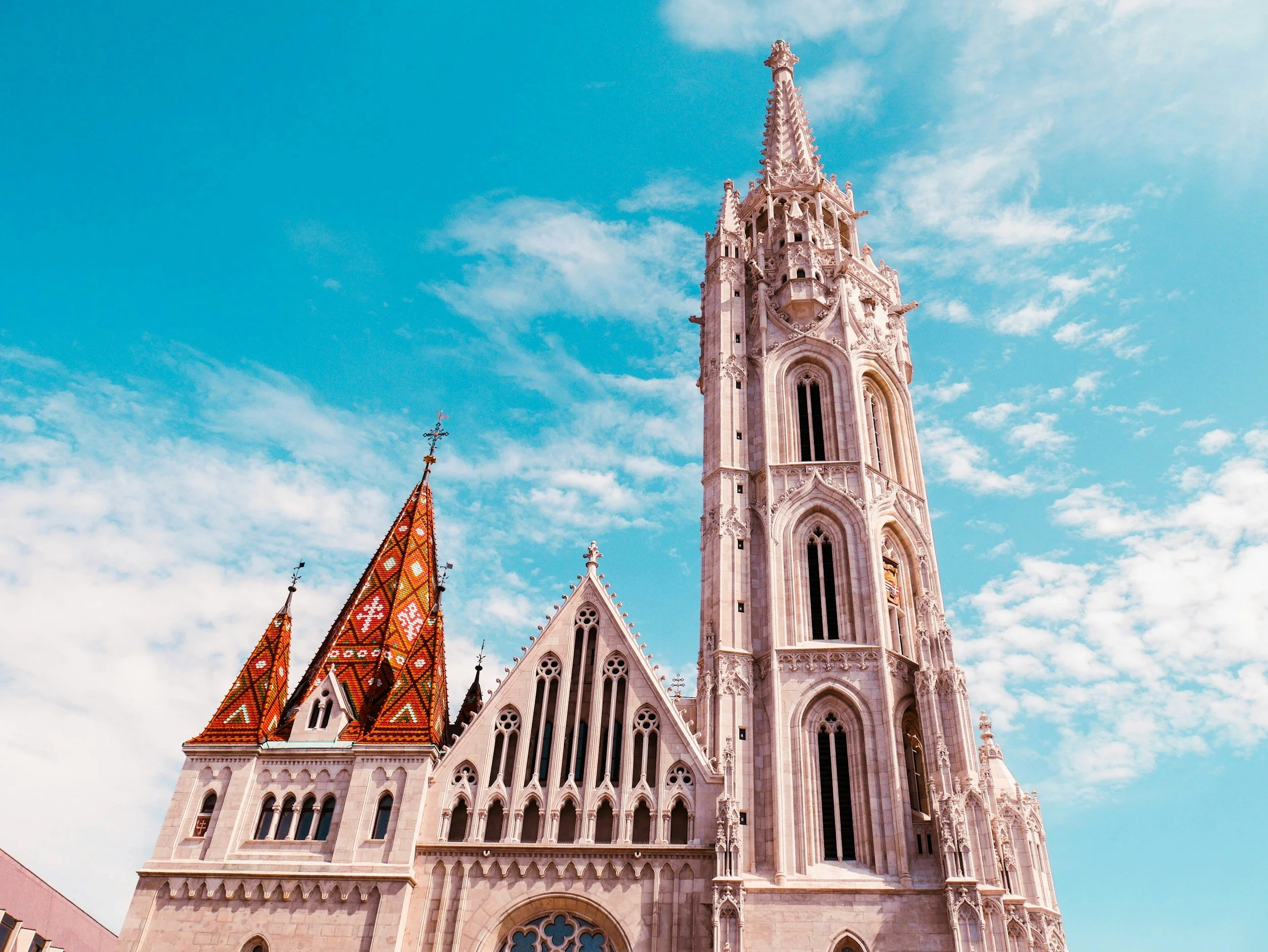 「我們最後都要穿上尿布」