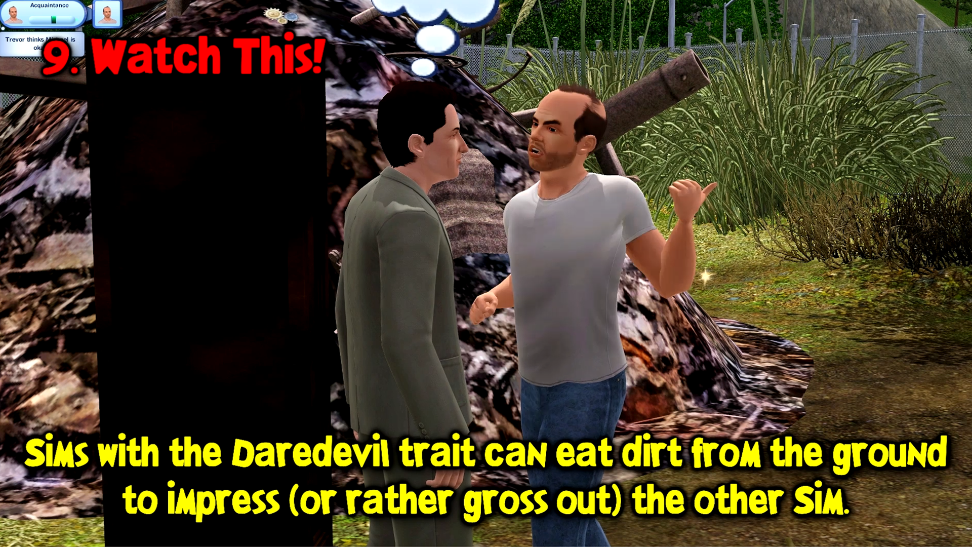 The Sims 3 gameplay detail (Copy)