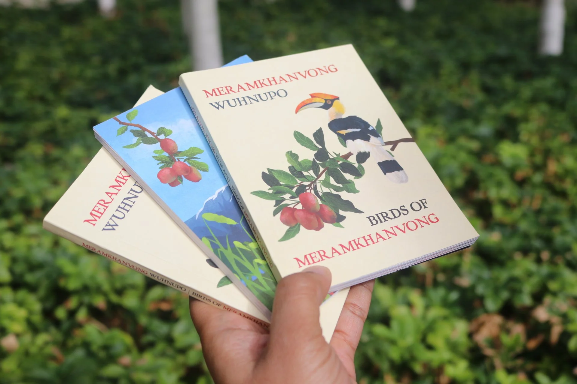 Birds of Meramkhanwong