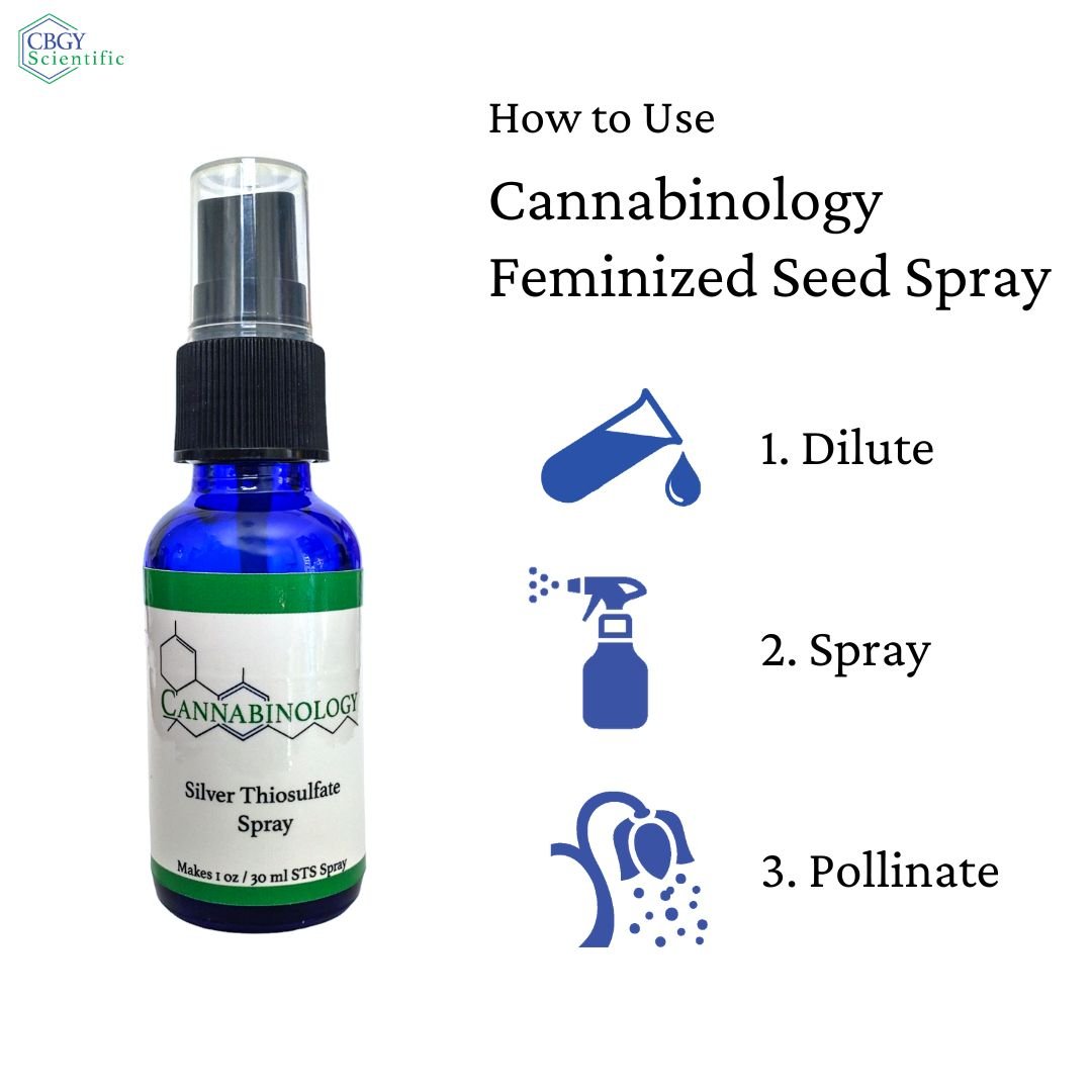 Silver thiosulfate spray, 1 oz silver thiosulfate, STS spray, reversal spray, Silver thiosulfate for feminized seeds, STS reversal spray, silver thiosulfate reversal spray for cannabis