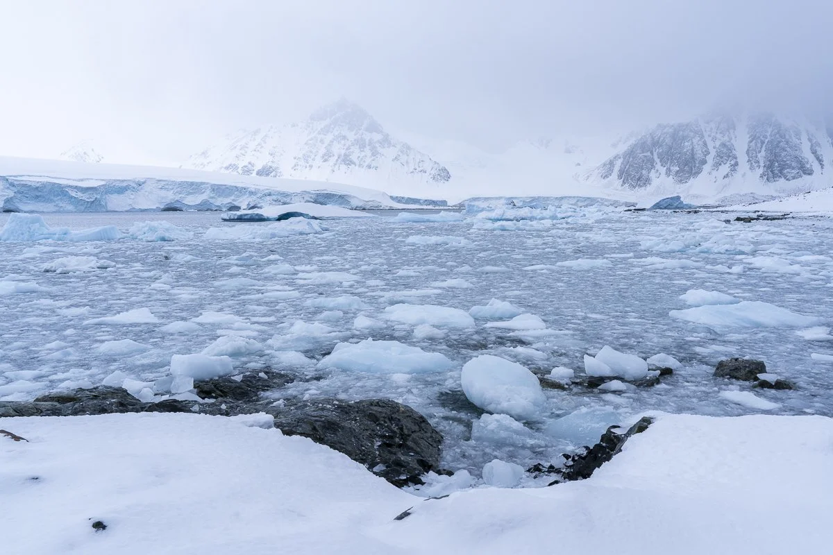 Autumn landscape in Antarctica with a bay covered in sea ice, glaciers, snow-covered mountains and subdued light.
