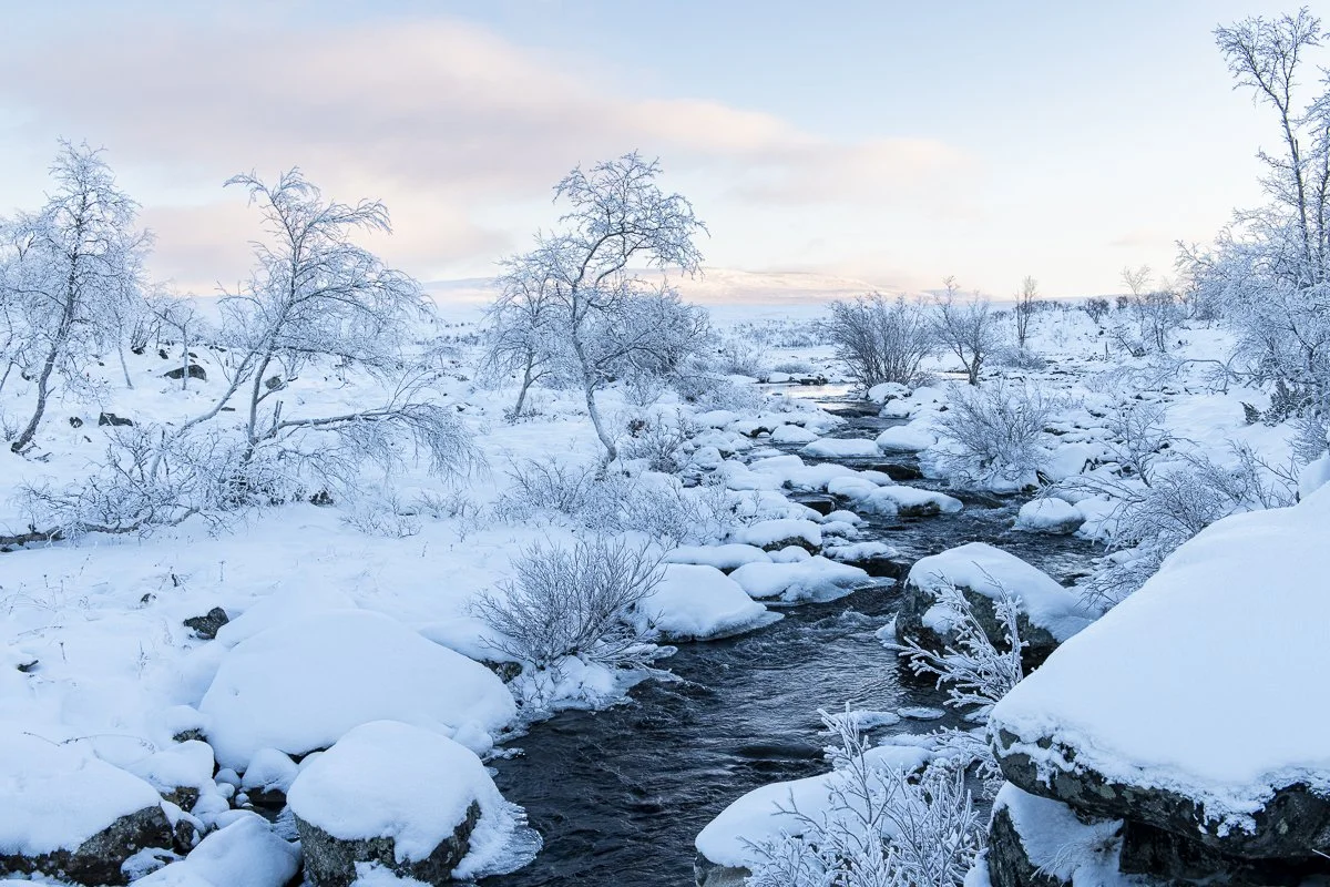 Small river flowing through a snow-covered landscape in Finnish Lapland in late October, with the surrounding water beginning to freeze and late-afternoon light.