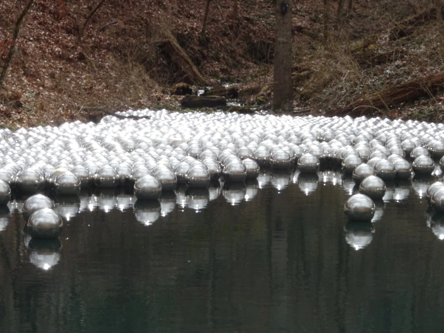 A photo of many silver spheres clustered in a corner of a pond fed by a spring that's trickling in from the hill in the background. The spheres glint brightly in the sunlight.