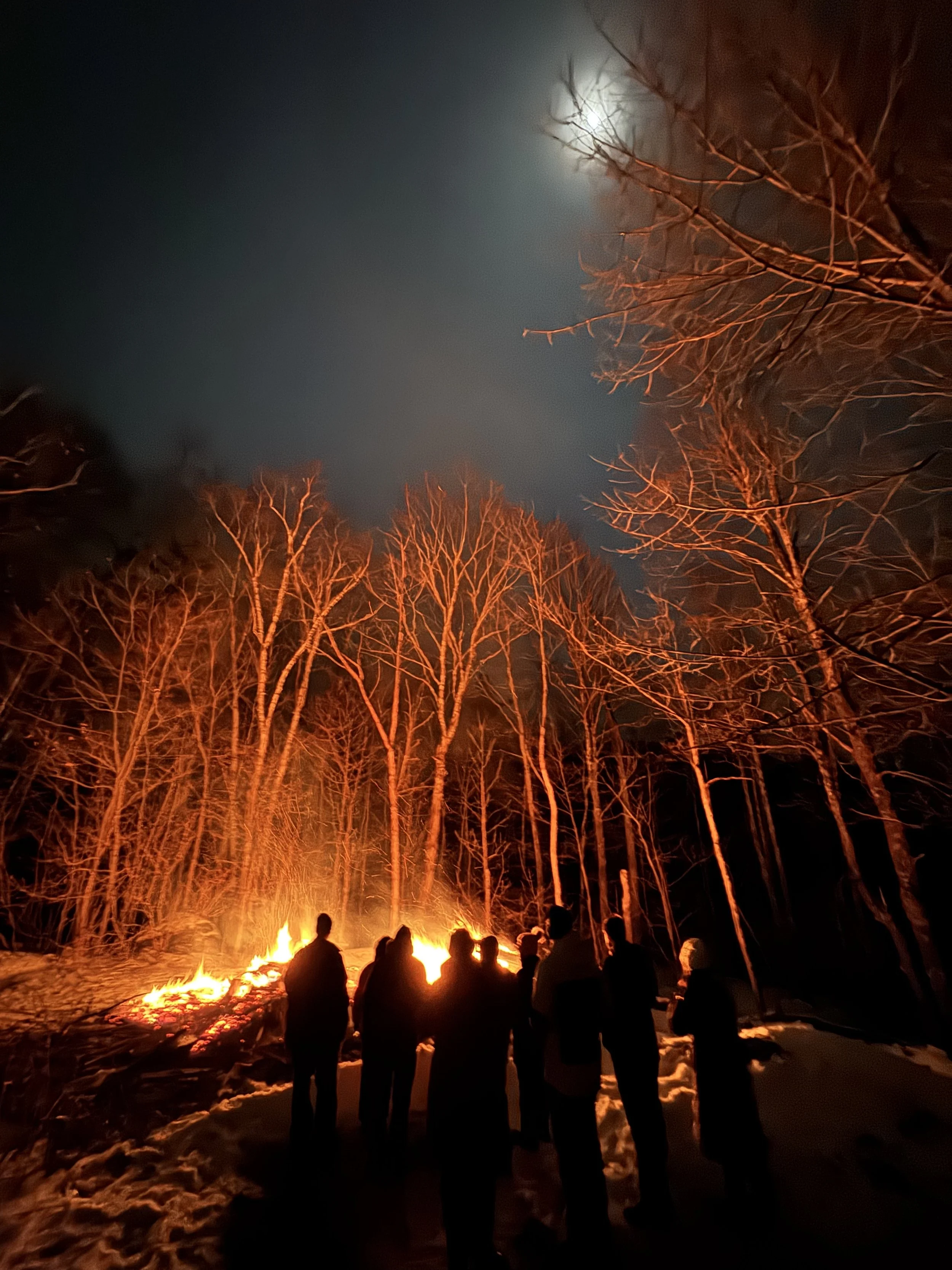 Nighttime scene of a group of people silhouetted against a large bonfire in a snowy forest, with bare trees lit by the fire and a bright moon in the cloudy sky above.
