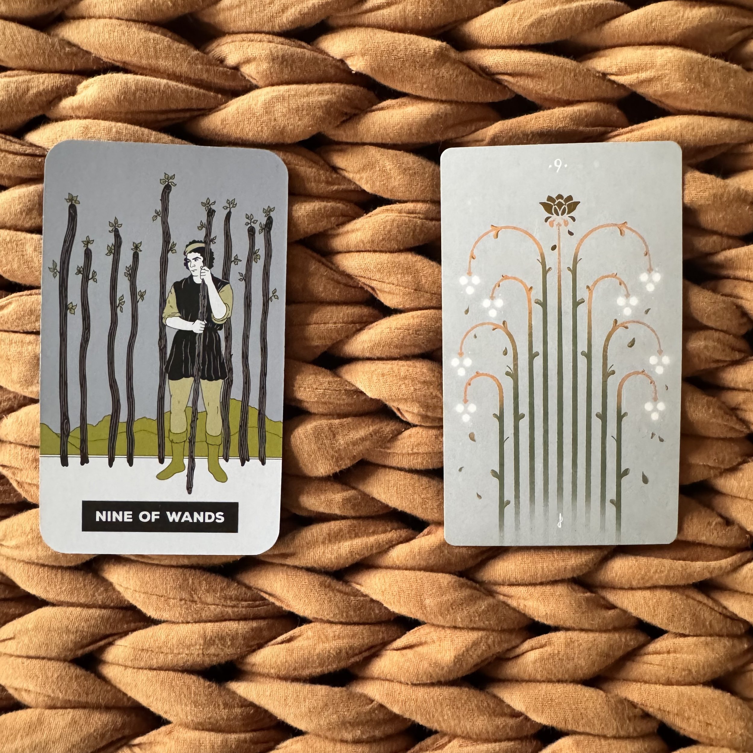 Two tarot cards on a tan woven surface, both variations of the Nine of Wands. One card depicts a figure holding a wand surrounded by eight other wands planted in the ground, and the second card features stylized stems with flowers.