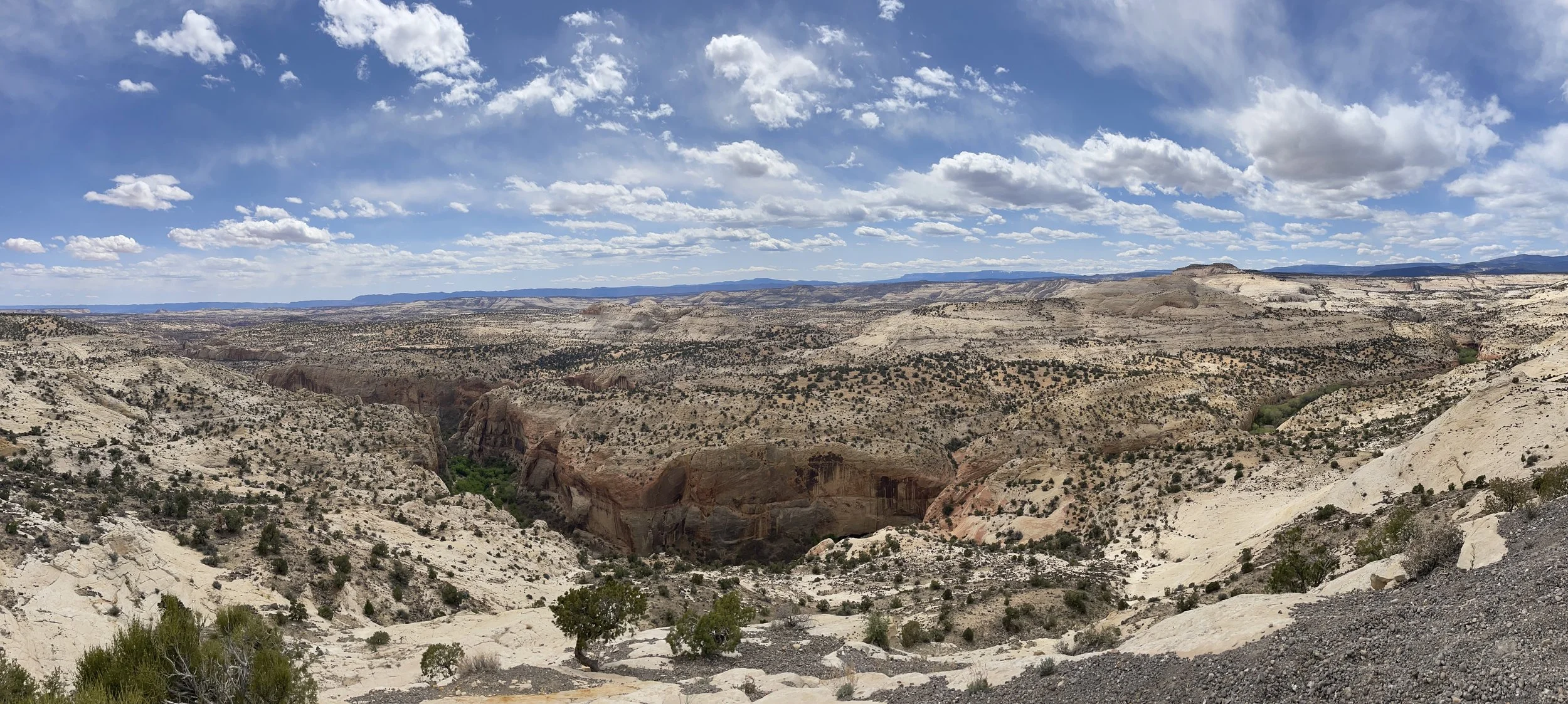 A panorama photo of a sunbaked spread of pale tan rocks stretching for miles and miles to the horizon. In the middle is a twisting canyon with a ribbon of green and a river at the bottom.