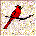Decatur Audubon Society logo