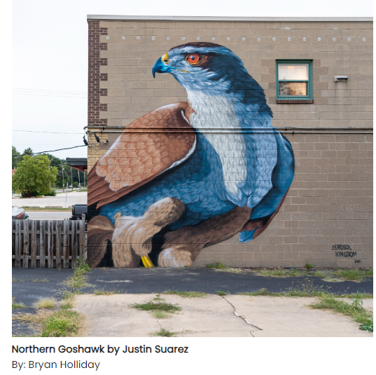 Paint the Town of Rockford