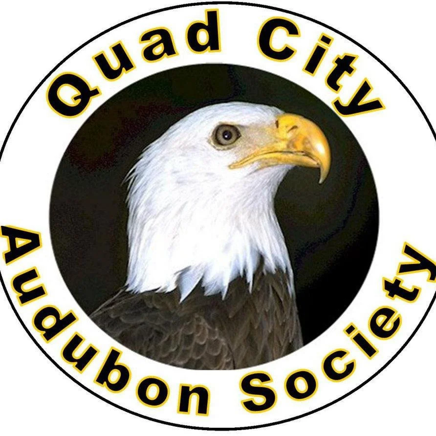 Bald Eagle inside a circle that says Quad City Audubon Society