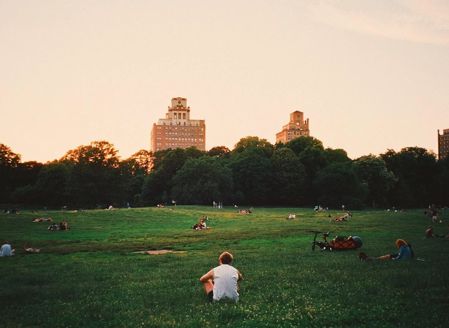 Park Solitude.jpg