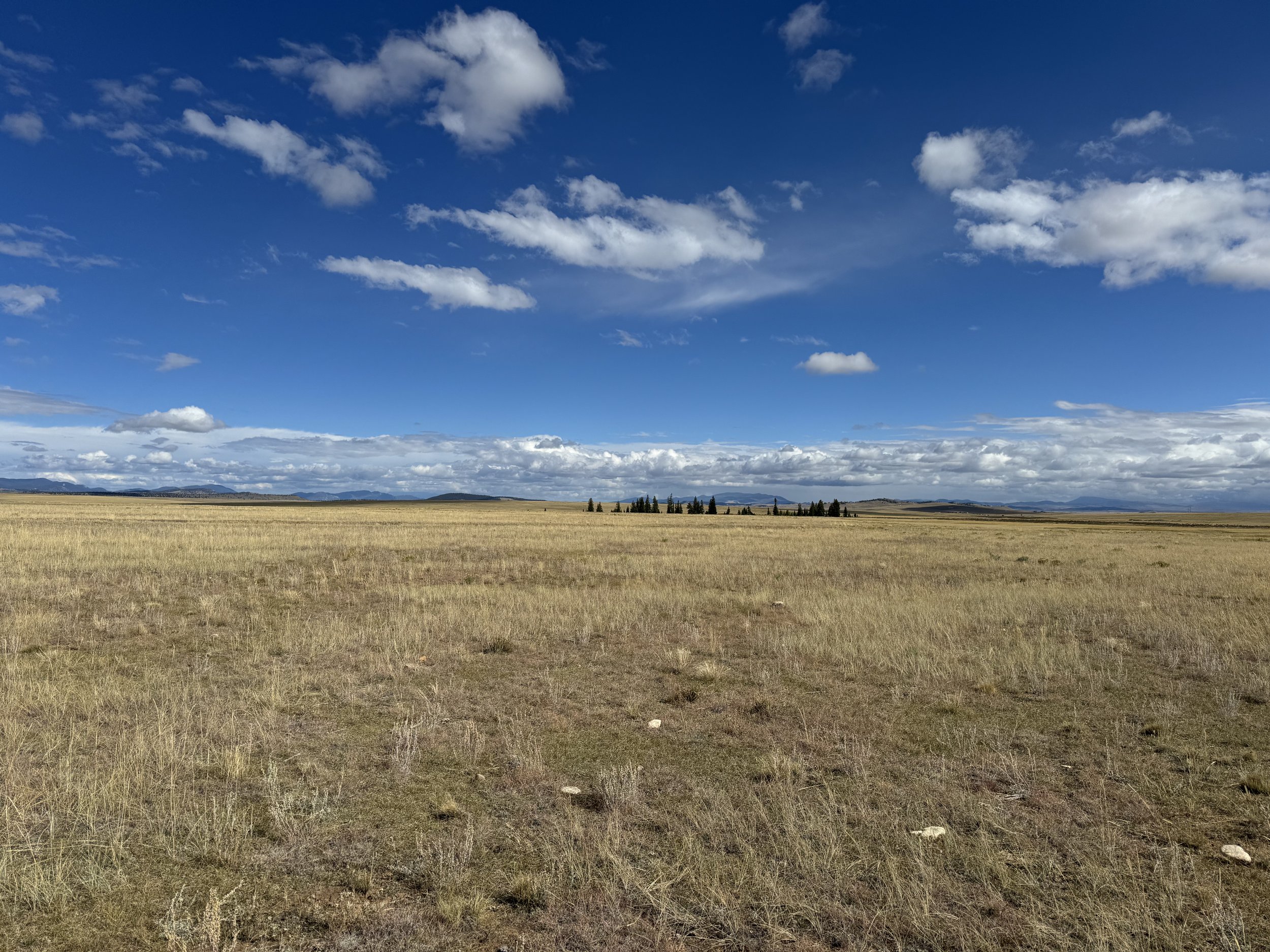 The long views over a fen