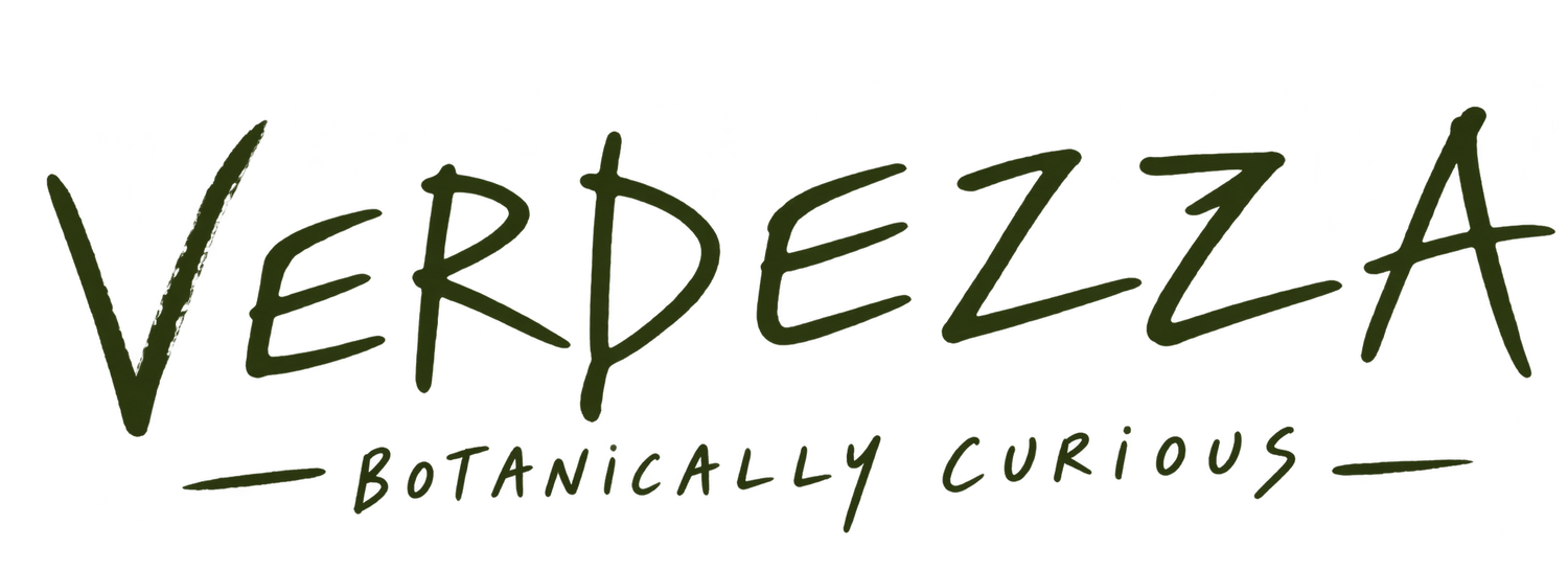 Verdezza