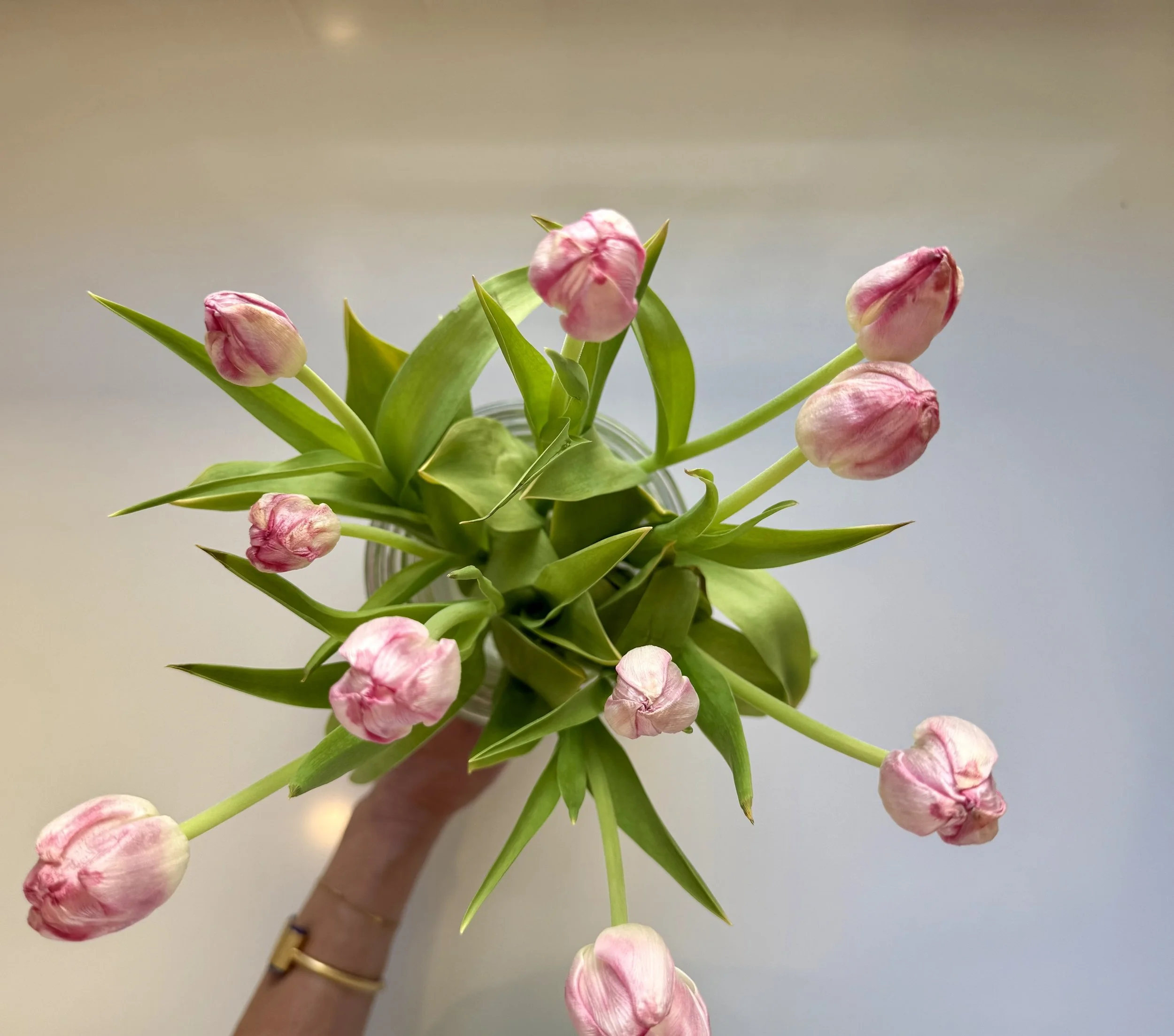 The Goddess Card For All of Us