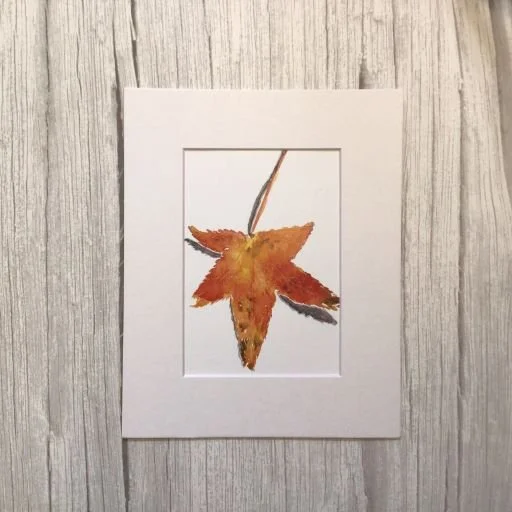 Solitude  5 x 7 Print with Mat