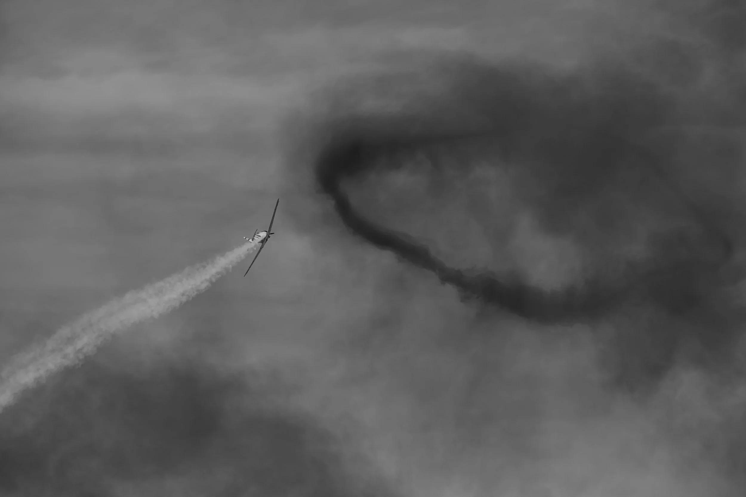 NZ8_2079-2.jpg