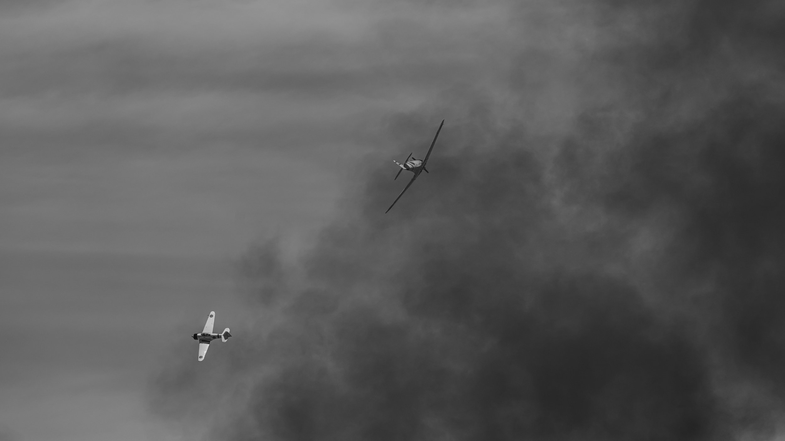 NZ8_2069-2.jpg