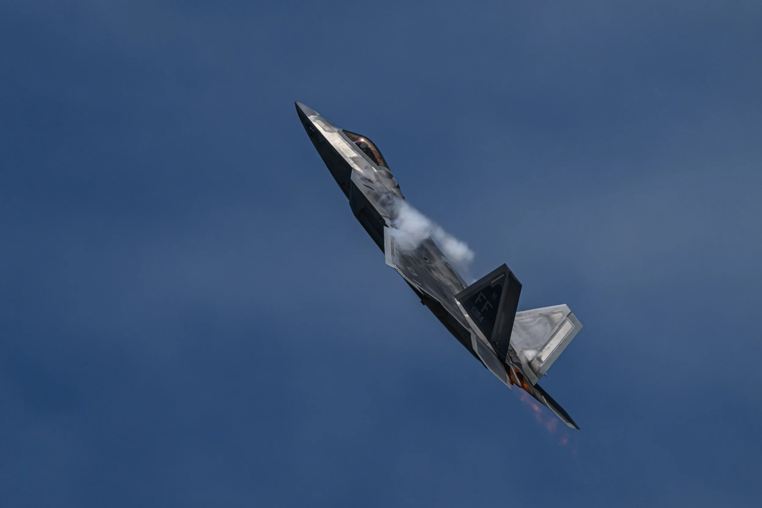 NZ8_1224-2.jpg