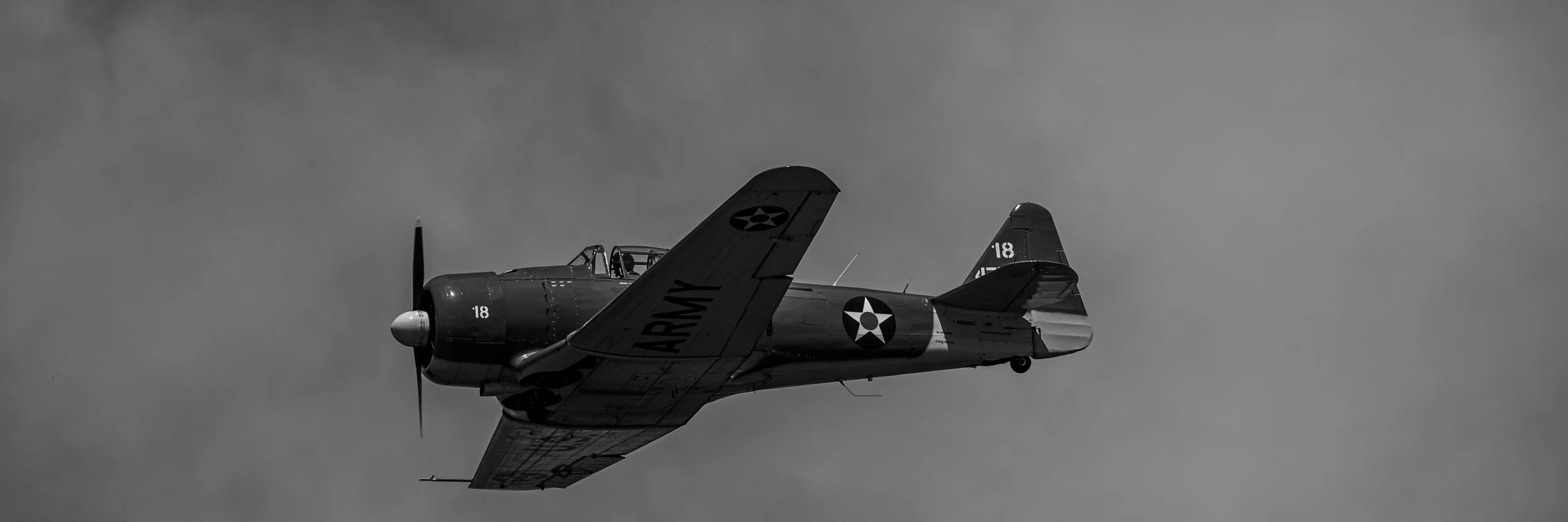 NZ8_2145-2.jpg
