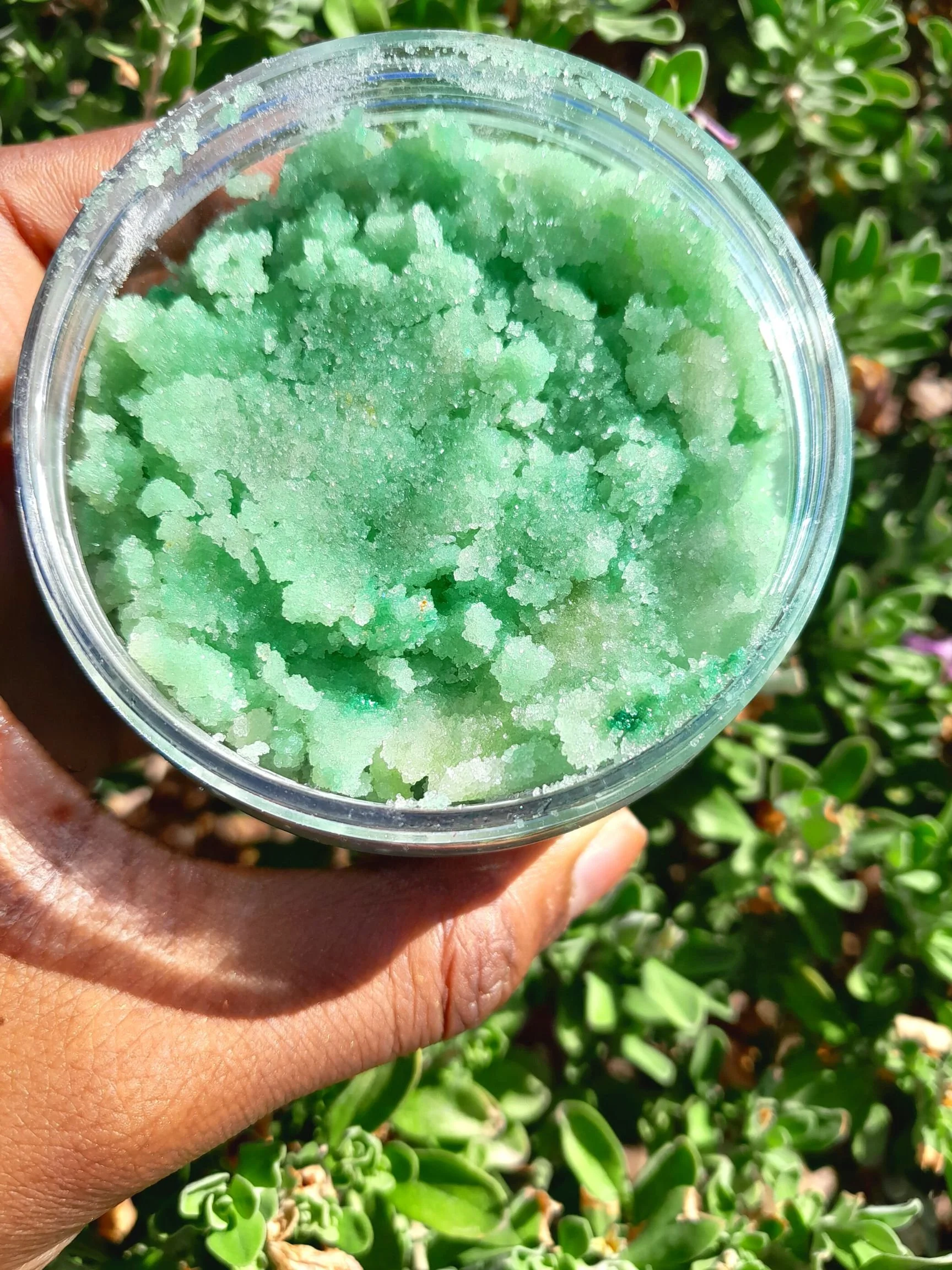 Homemade Peppermint Body Scrub Recipe — The Refined Sensibilities