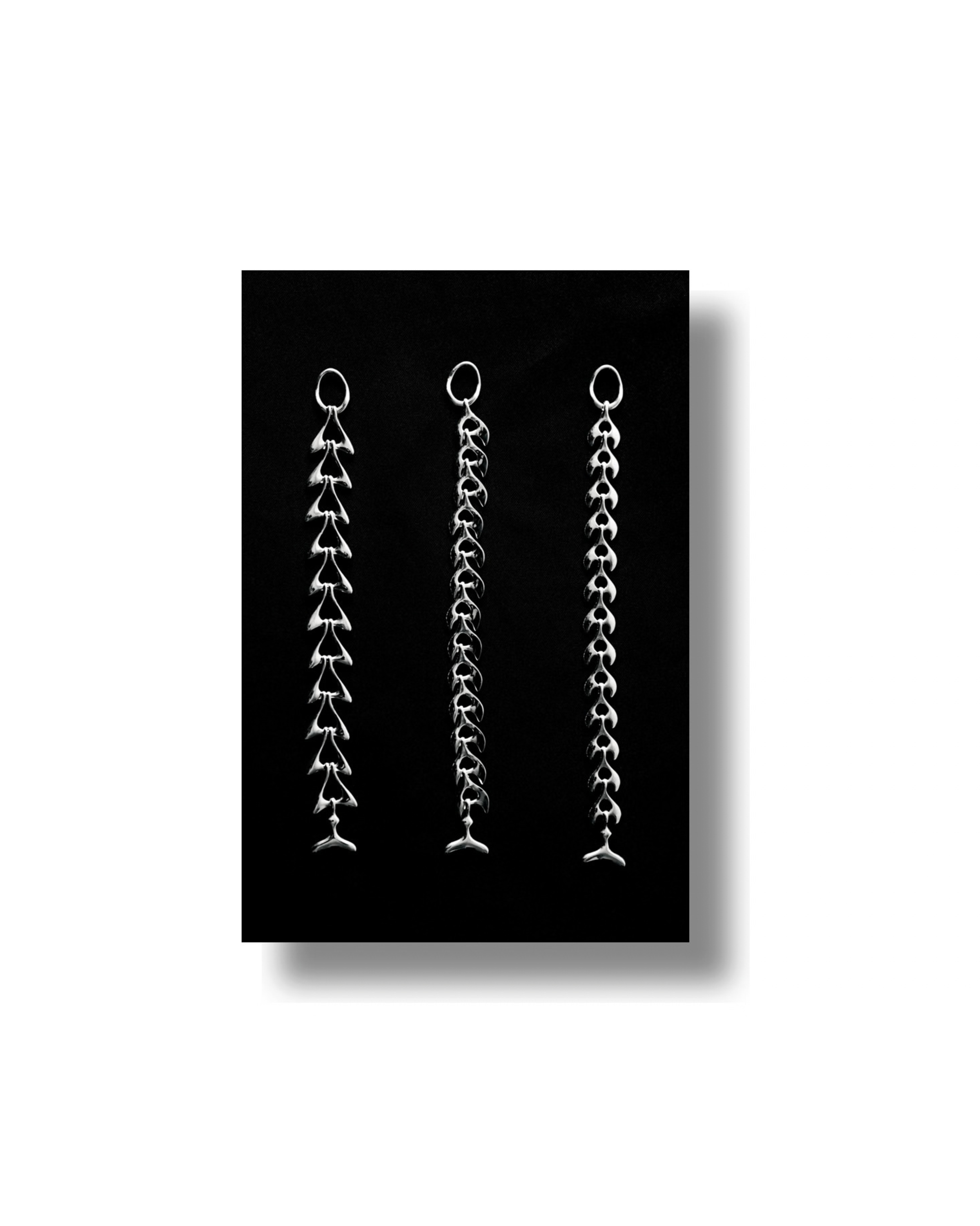 Catalog