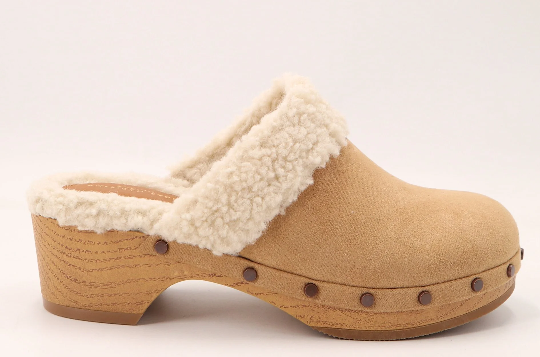 MOVING TAN CFM with studs 2021-03-24 (2).JPG