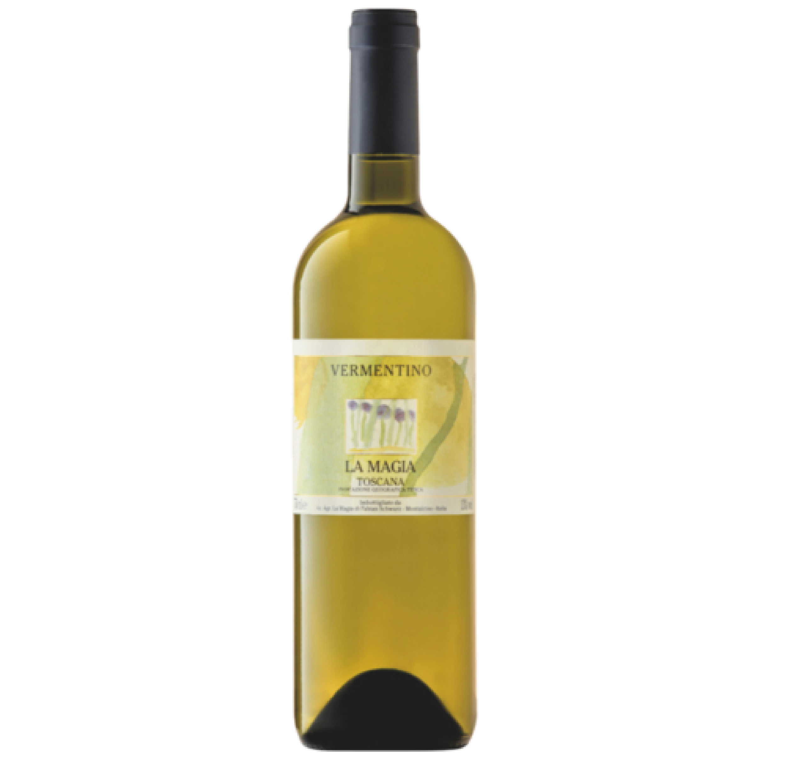 LA MAGIA 2025 TOSCANA VERMENTINO